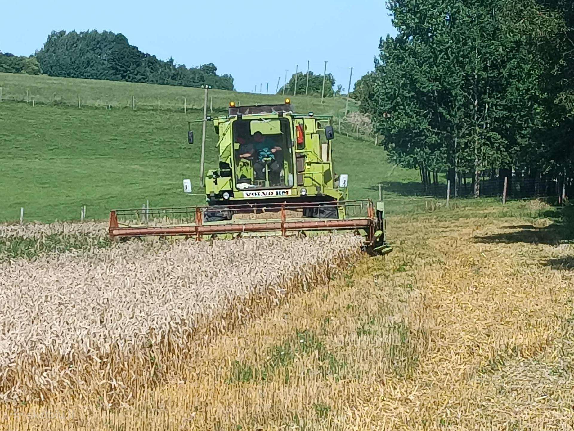 Claas Dominator, kombainai