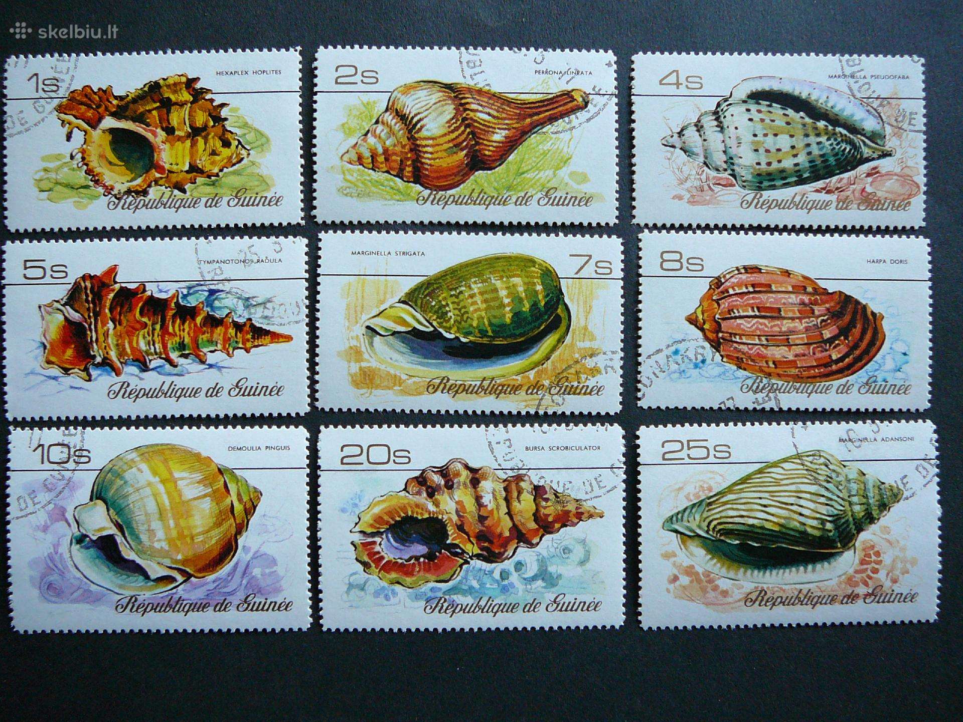 Kriaukles Gvineja 1977 antsp. gvn440