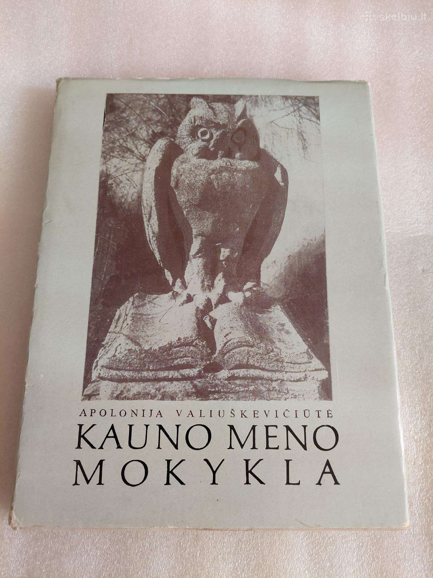 Kauno meno mokykla