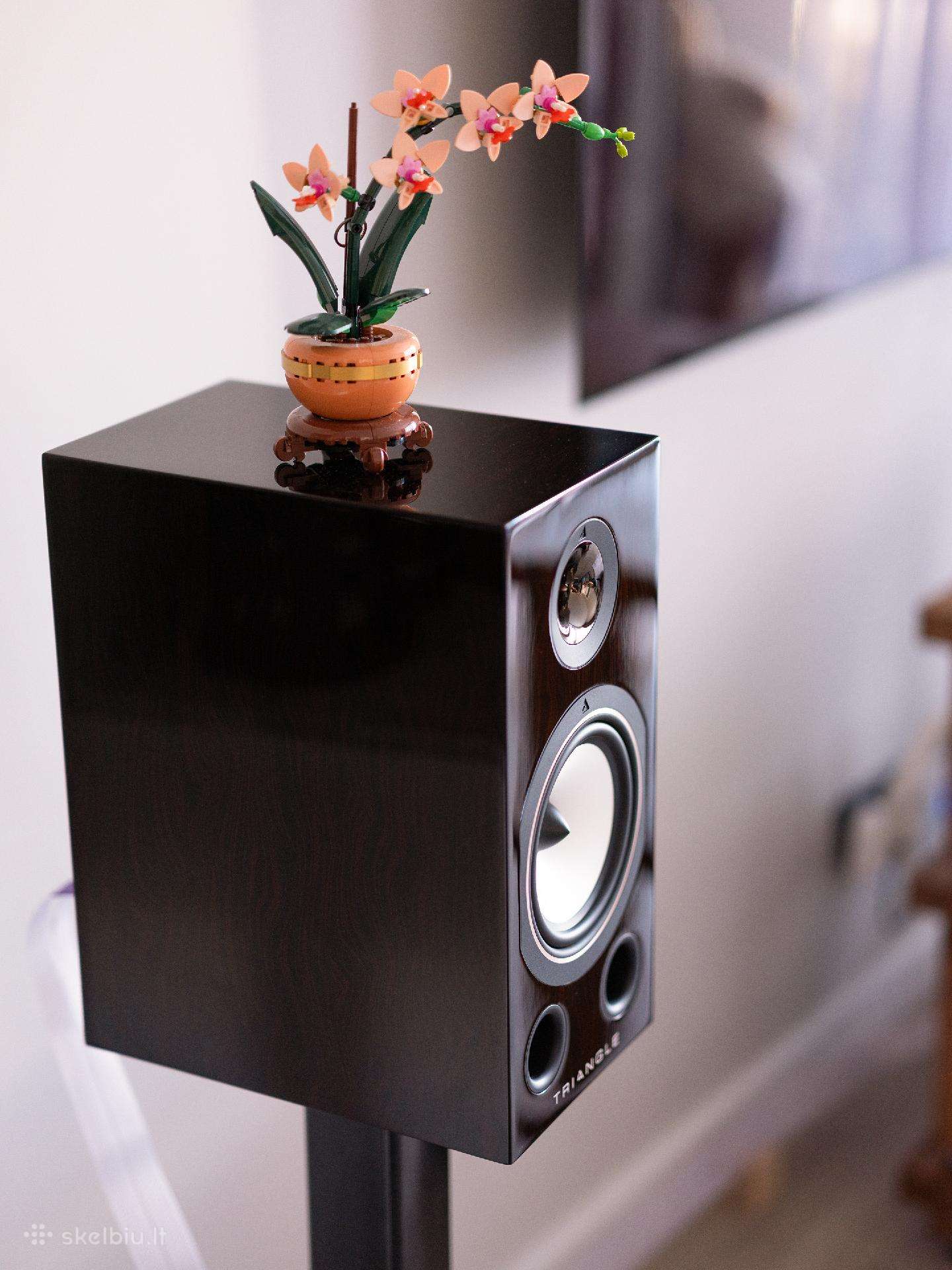 Triangle Esprit 40th - Comete 40th (Rosewood)