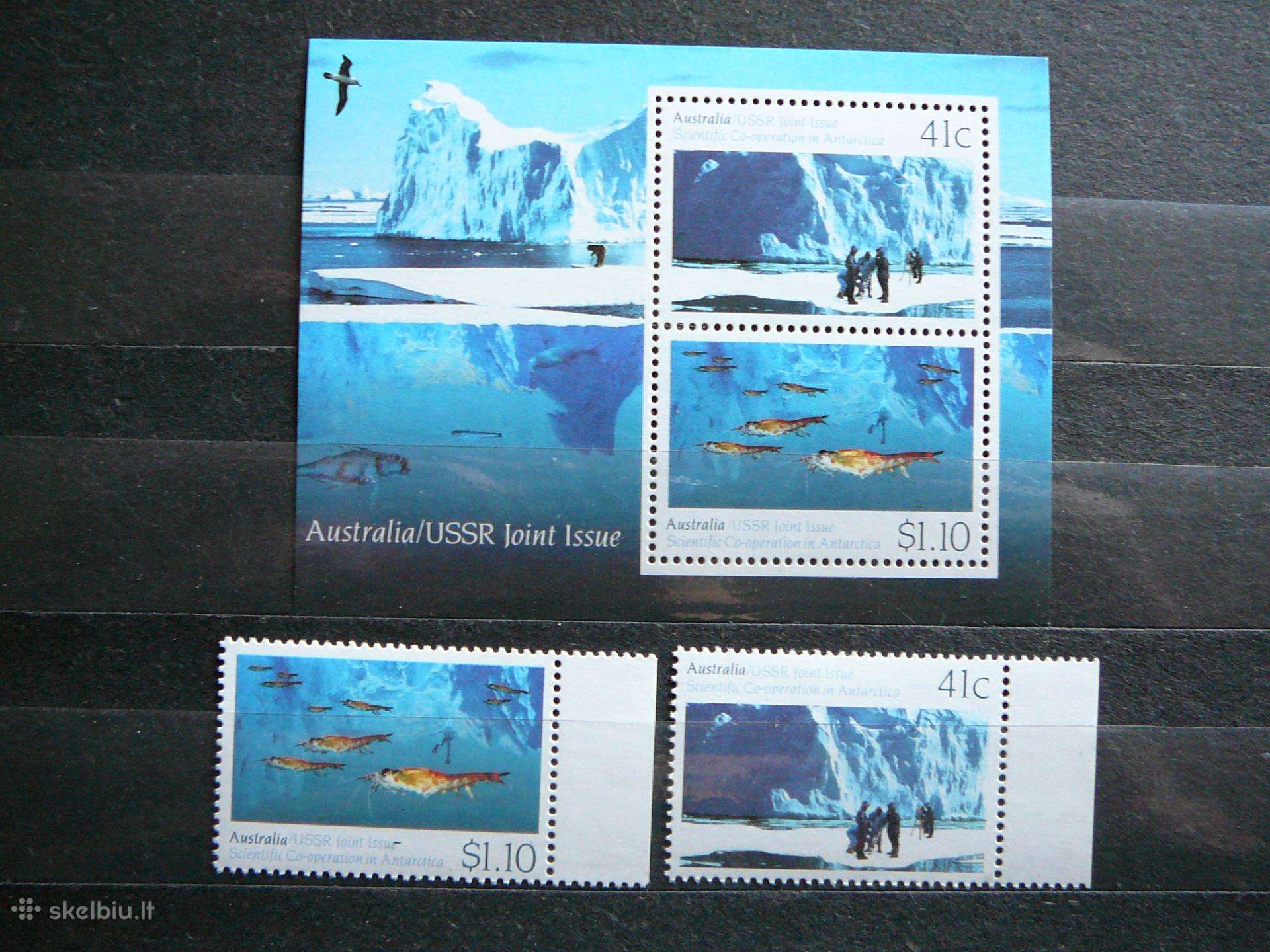 Zuvys Antarktika Australija 1990 Mnh ast29