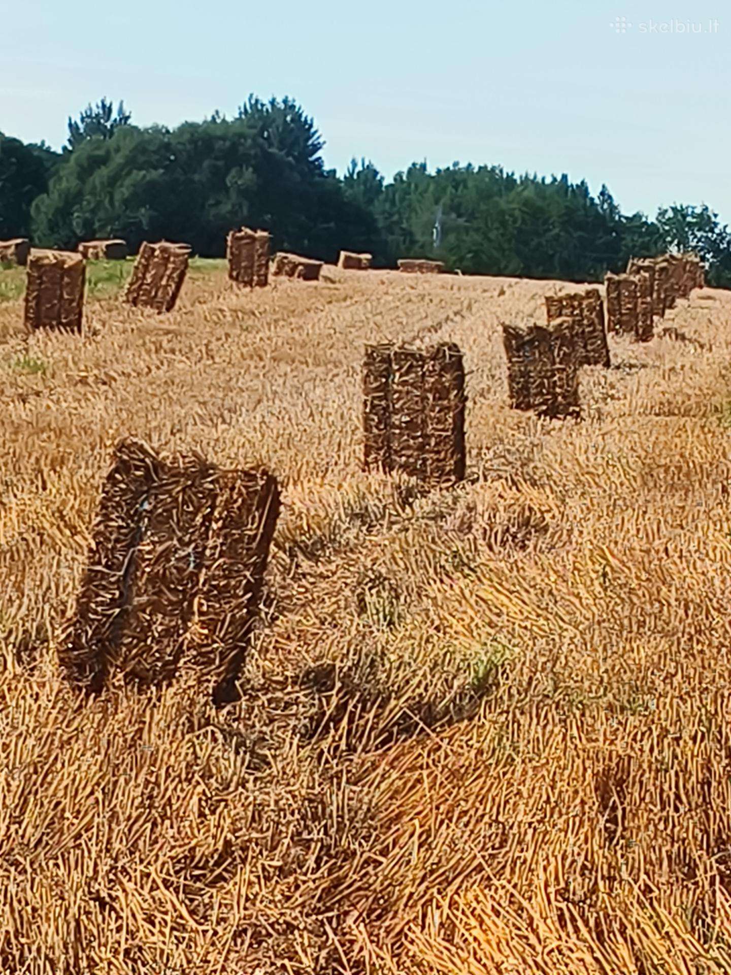 Kvietiniai šiaudai