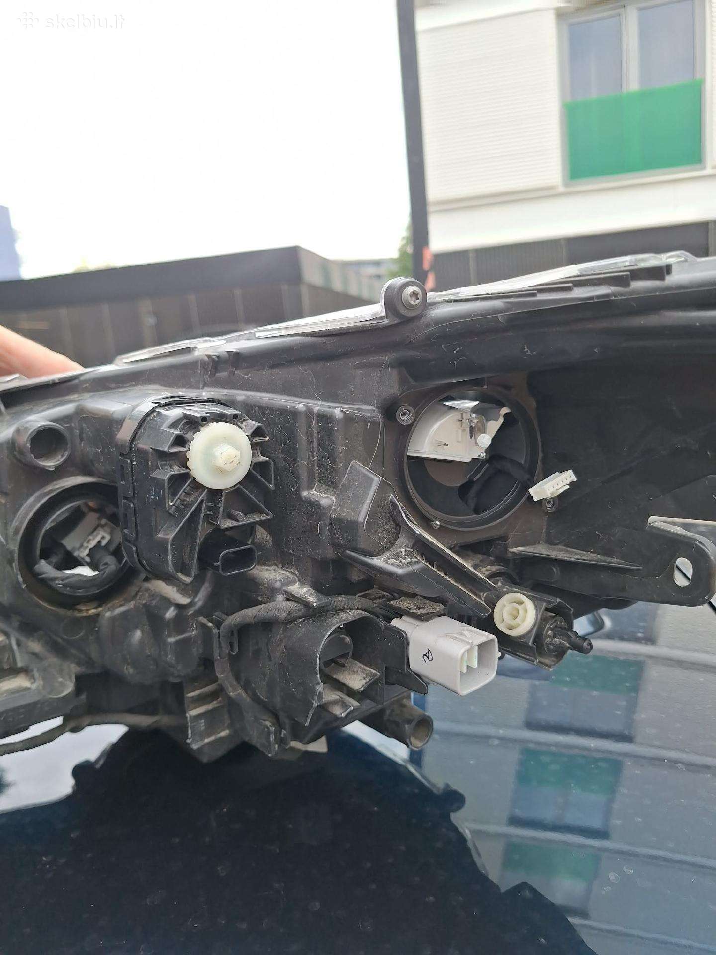Toyota Corolla žibintai