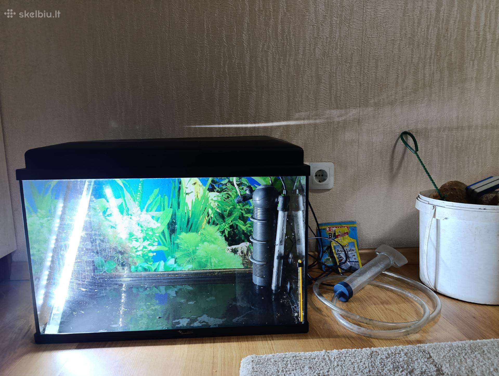 Akvariumas