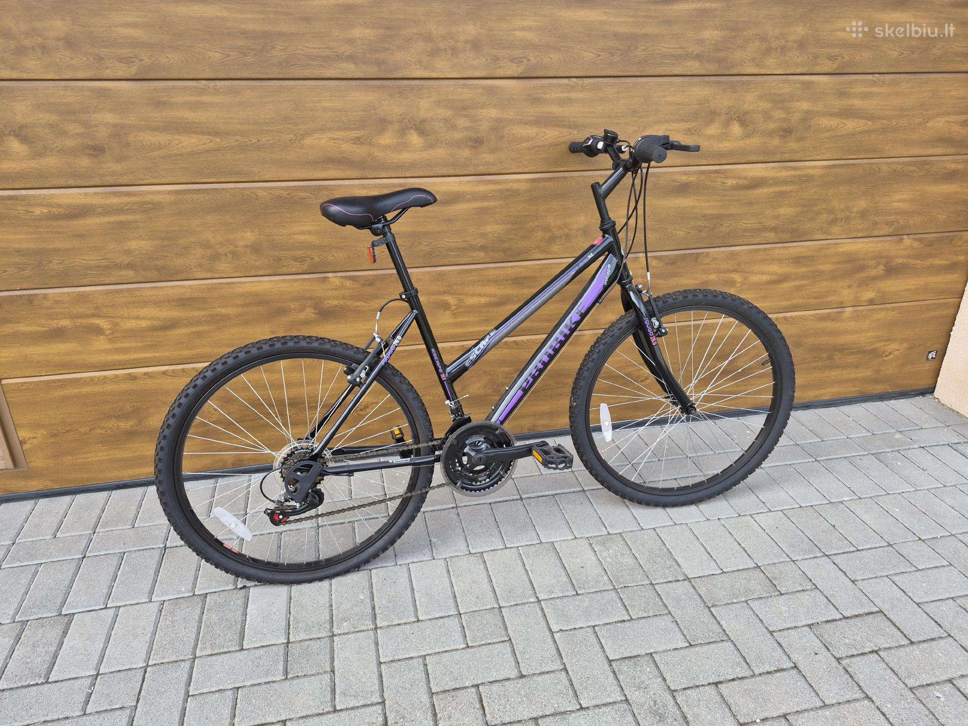 Pro Bike dviratis