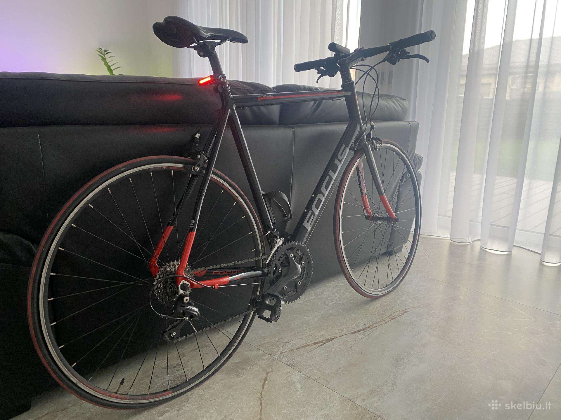 Focus Arriba 2.0 XL remo dydis