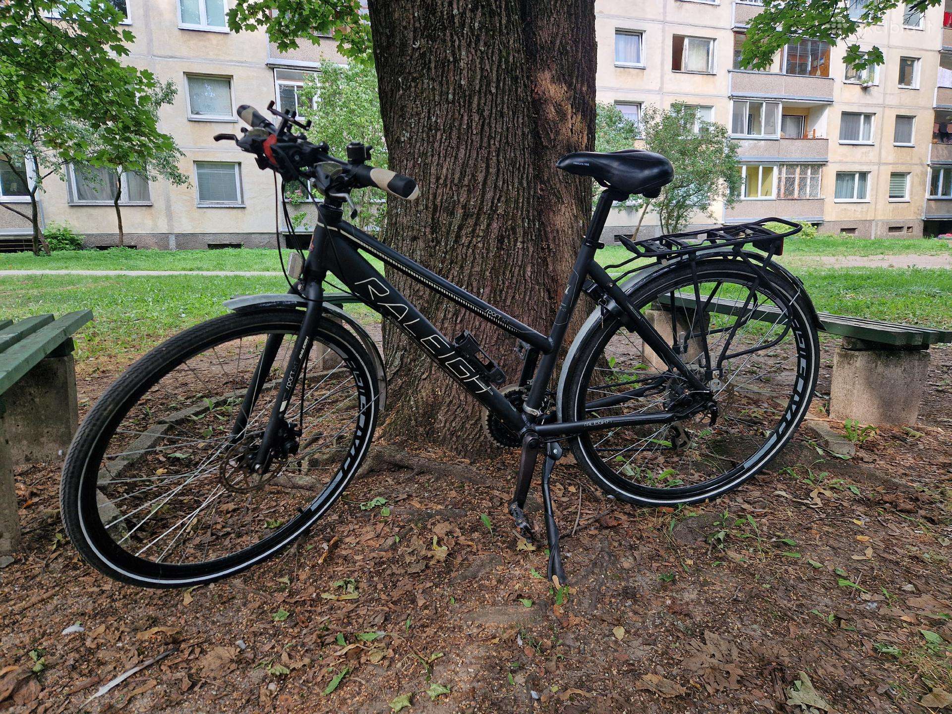 Raleigh Sport XT (M dydis)