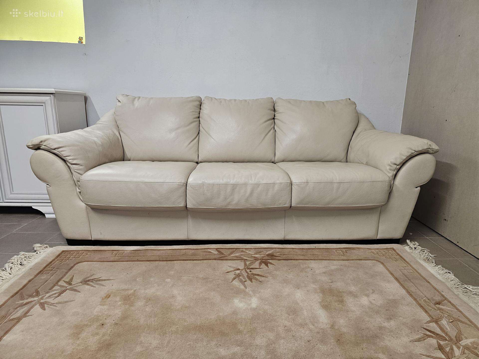 Odinė sofa-lova(išsiskleidžia)