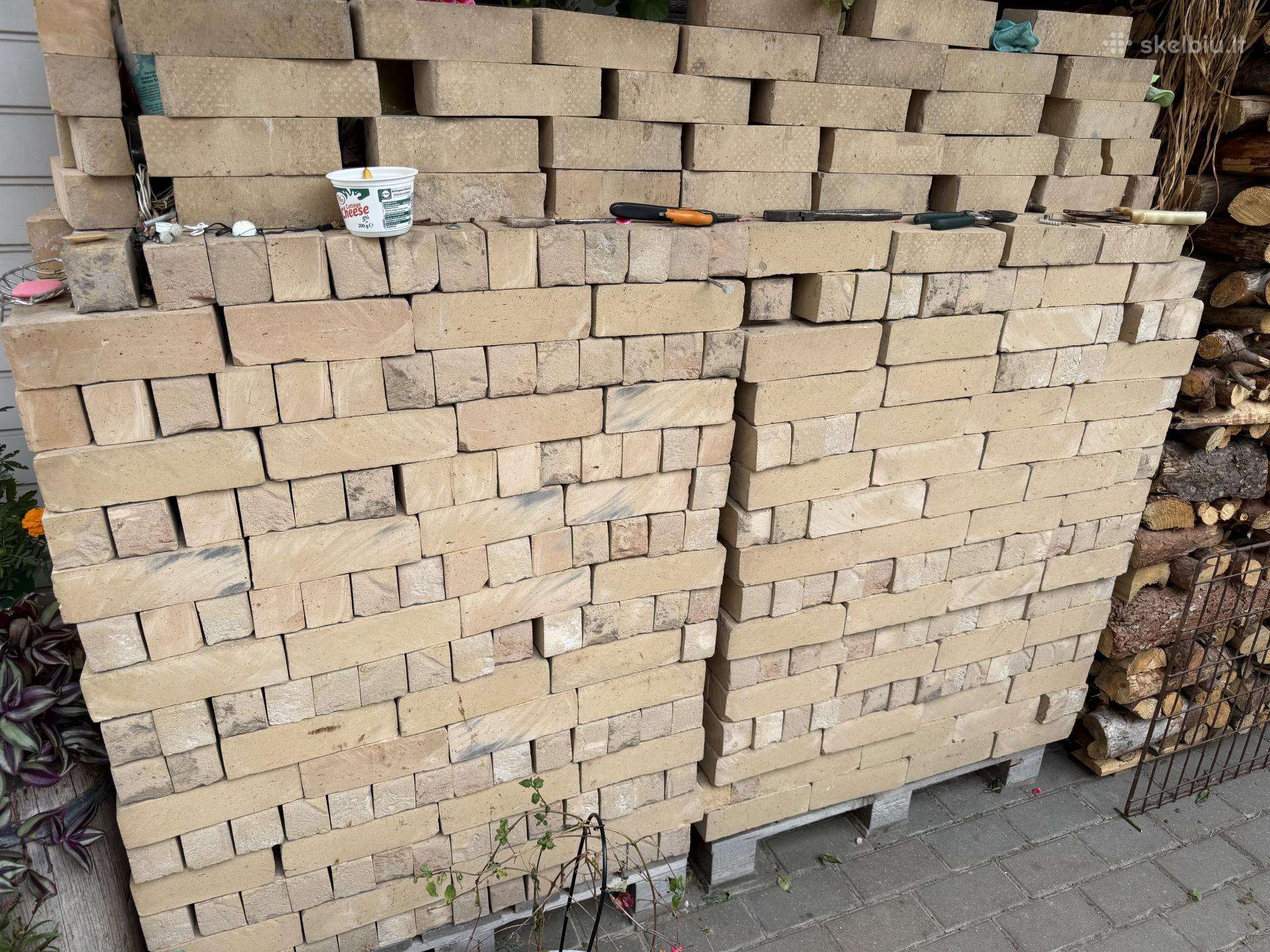 Plytu viduriukai