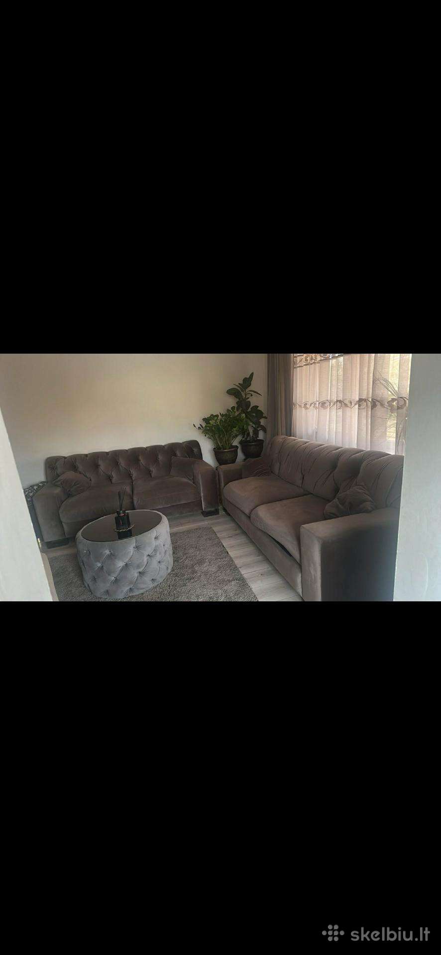 Grafo baldai