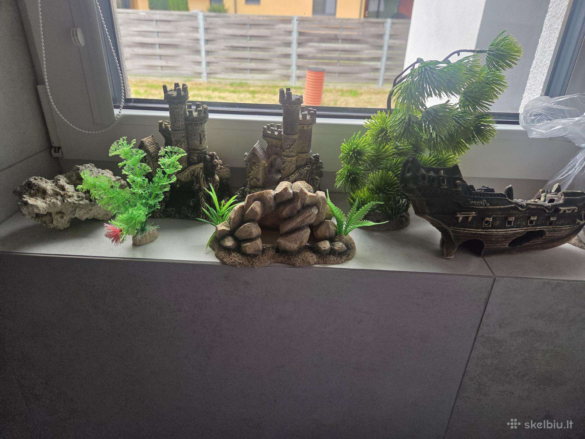 Akvariumo dekoracijos