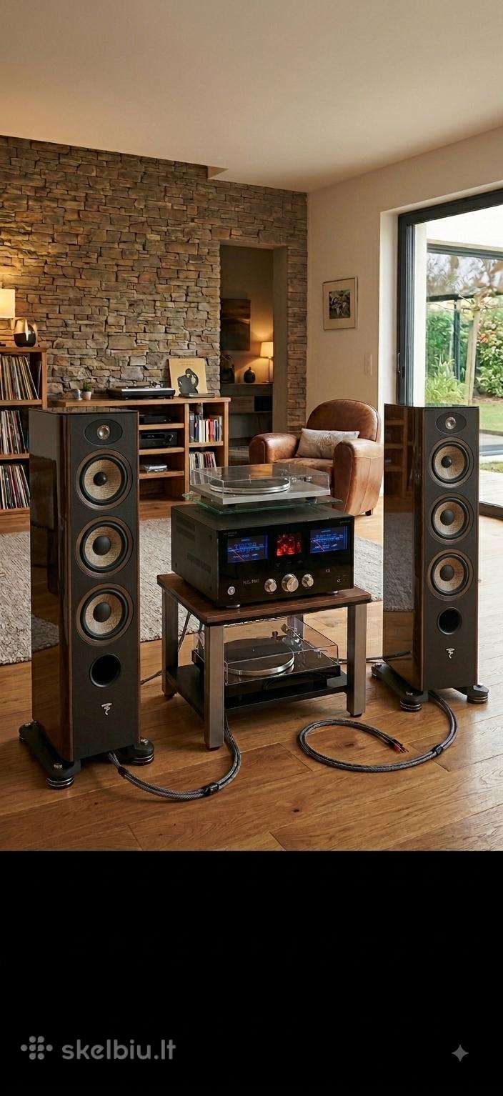 Focal Aria EVO X Nr4