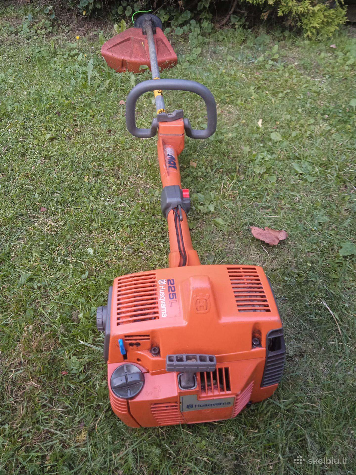 Trimeris husvarna