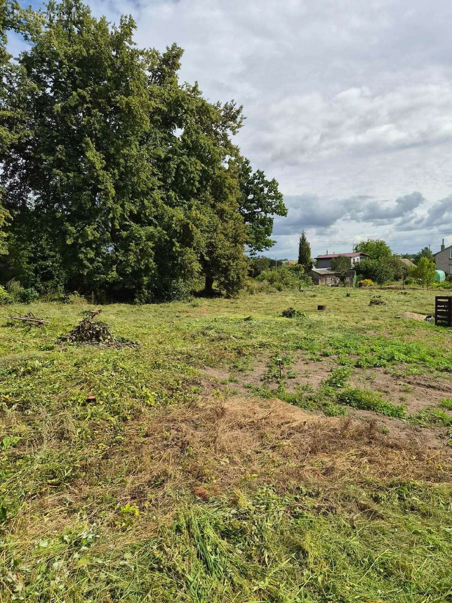 Sodo sklypas SB “šilas bendrijoje