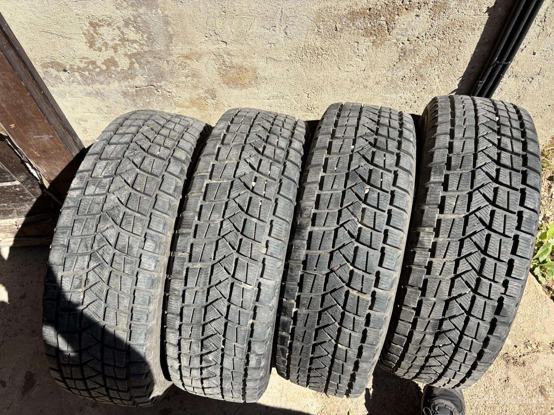 Nereus, winter 235/60 R18