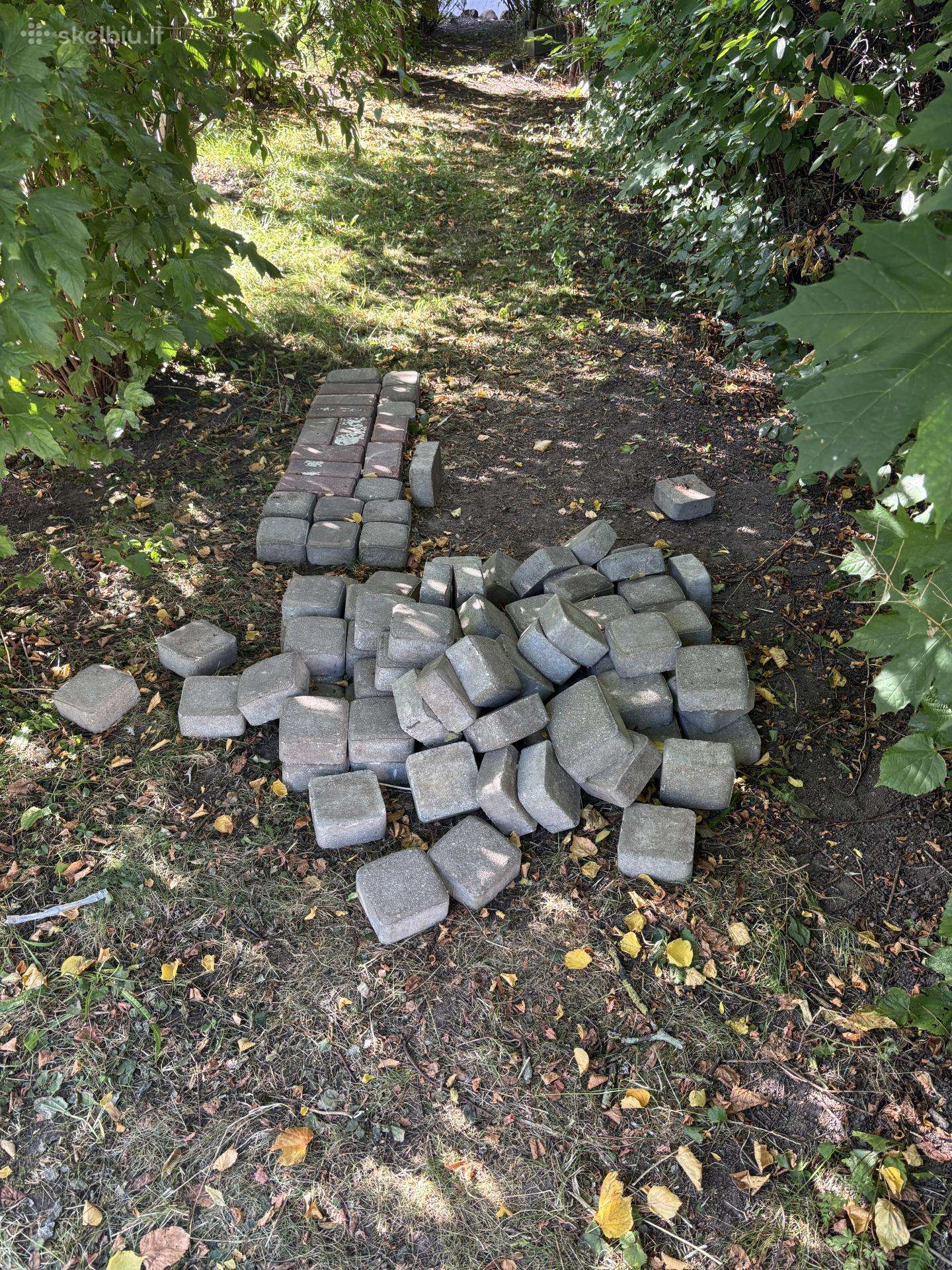 Dovanoju