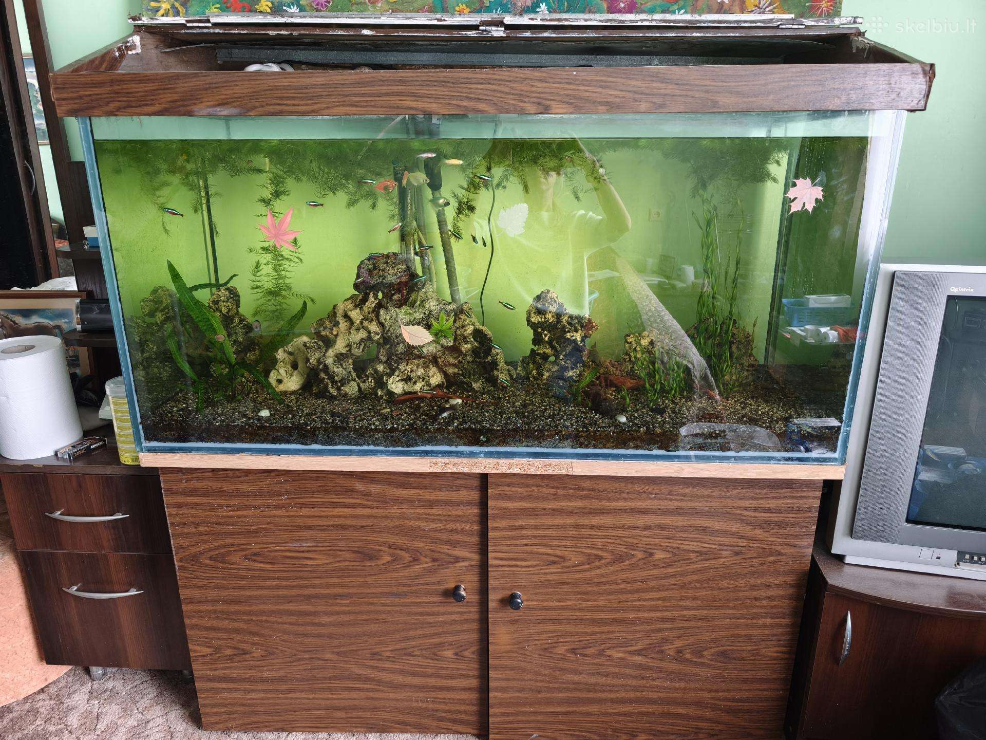 Atiduodu akvariumą