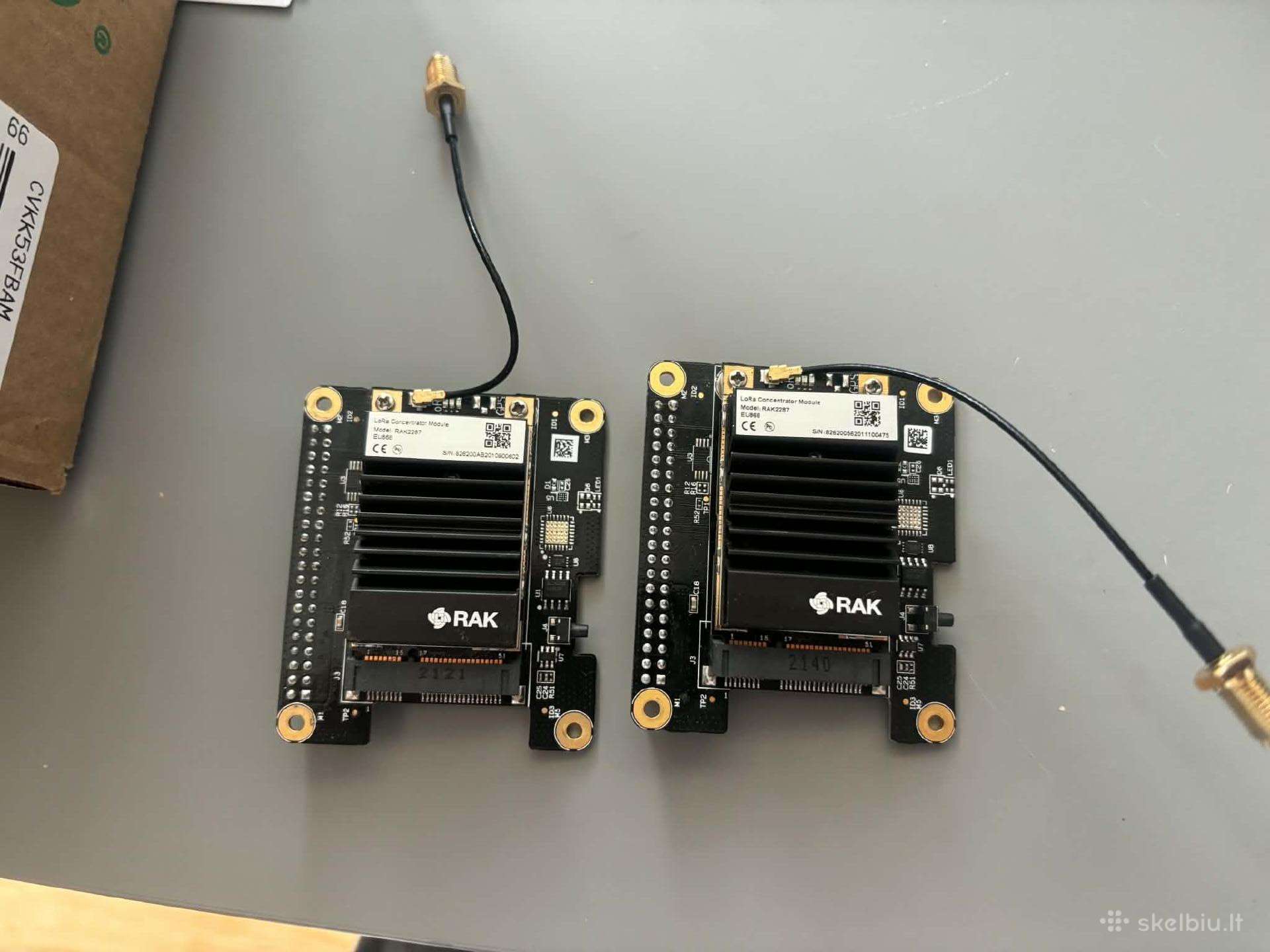 Rak2287 Lorawan koncentravimo modulis