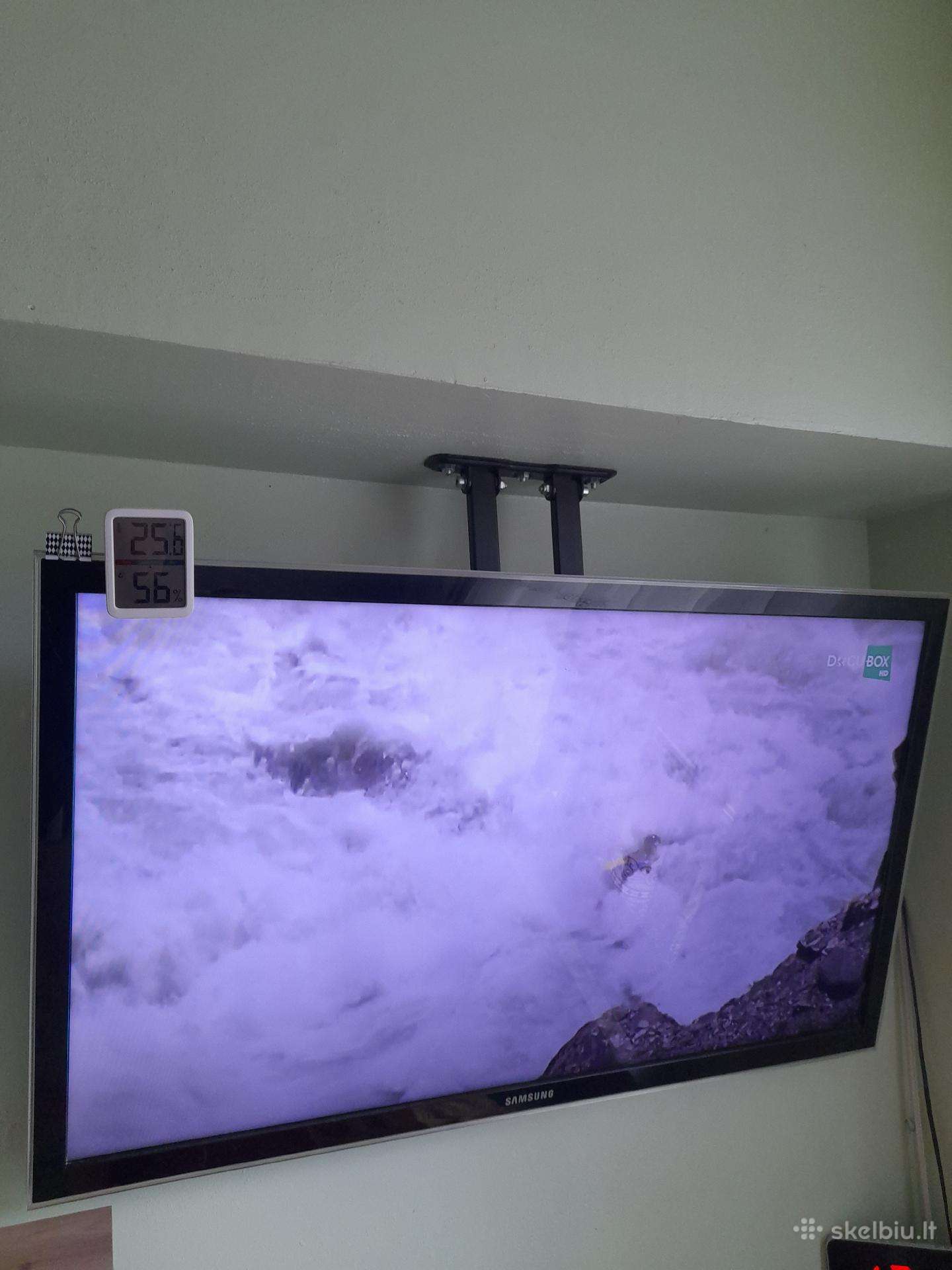 Televizorius