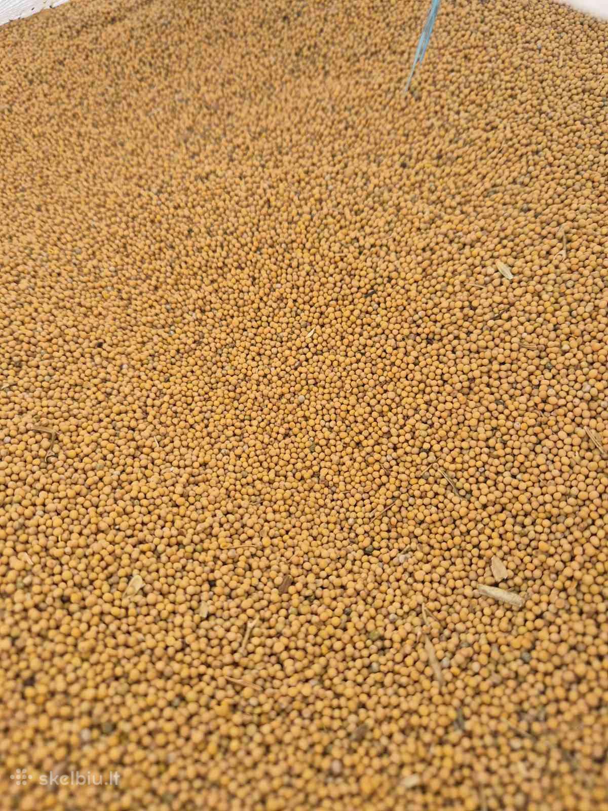 Garstycios 1000e/t big bag arba 25kg