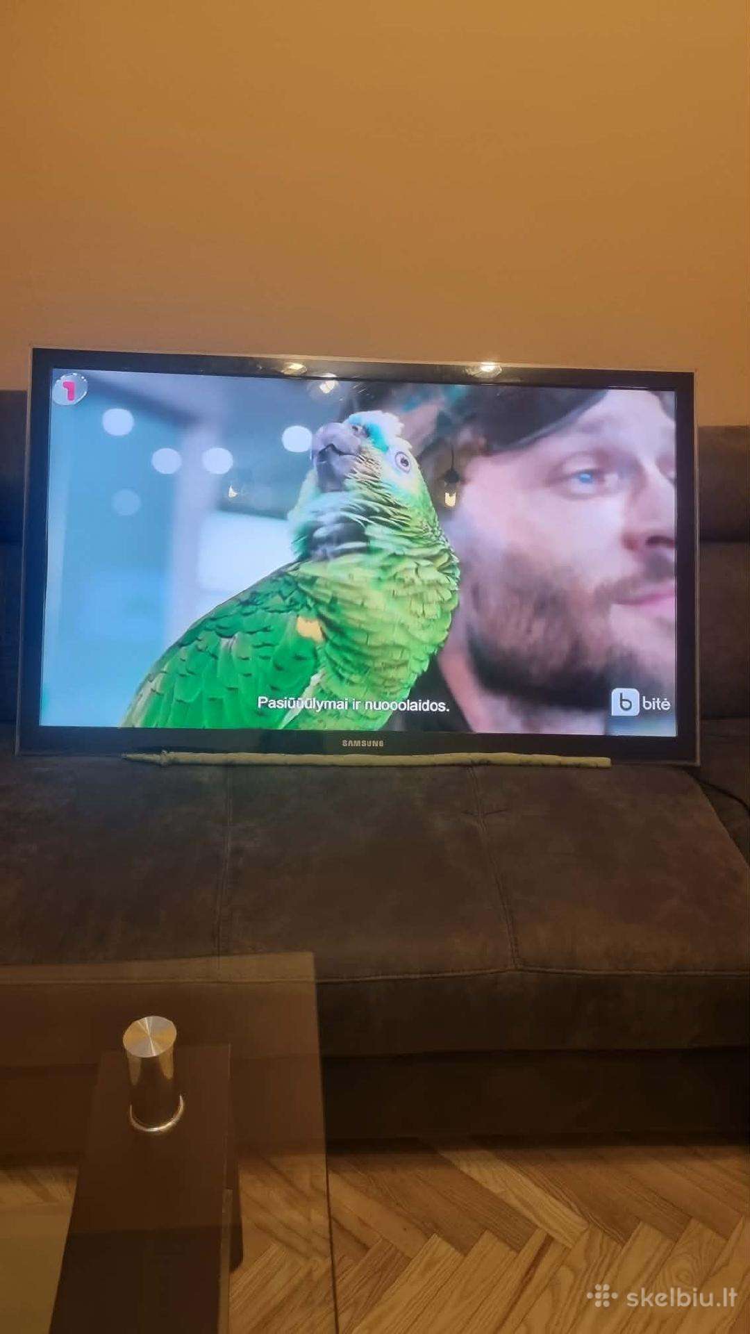 Televizorius + laikiklis