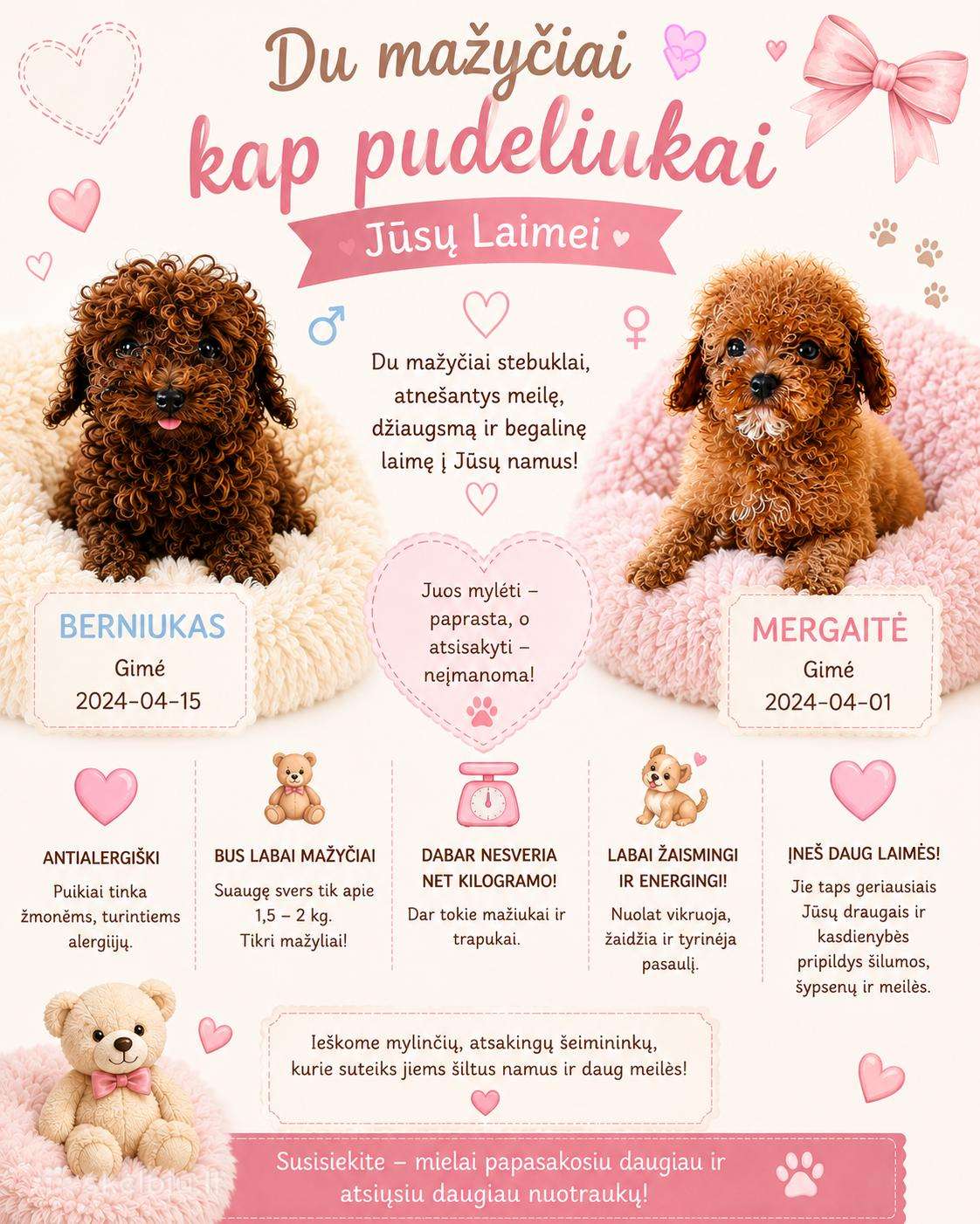 Super mini mikro teacup pudeliukai