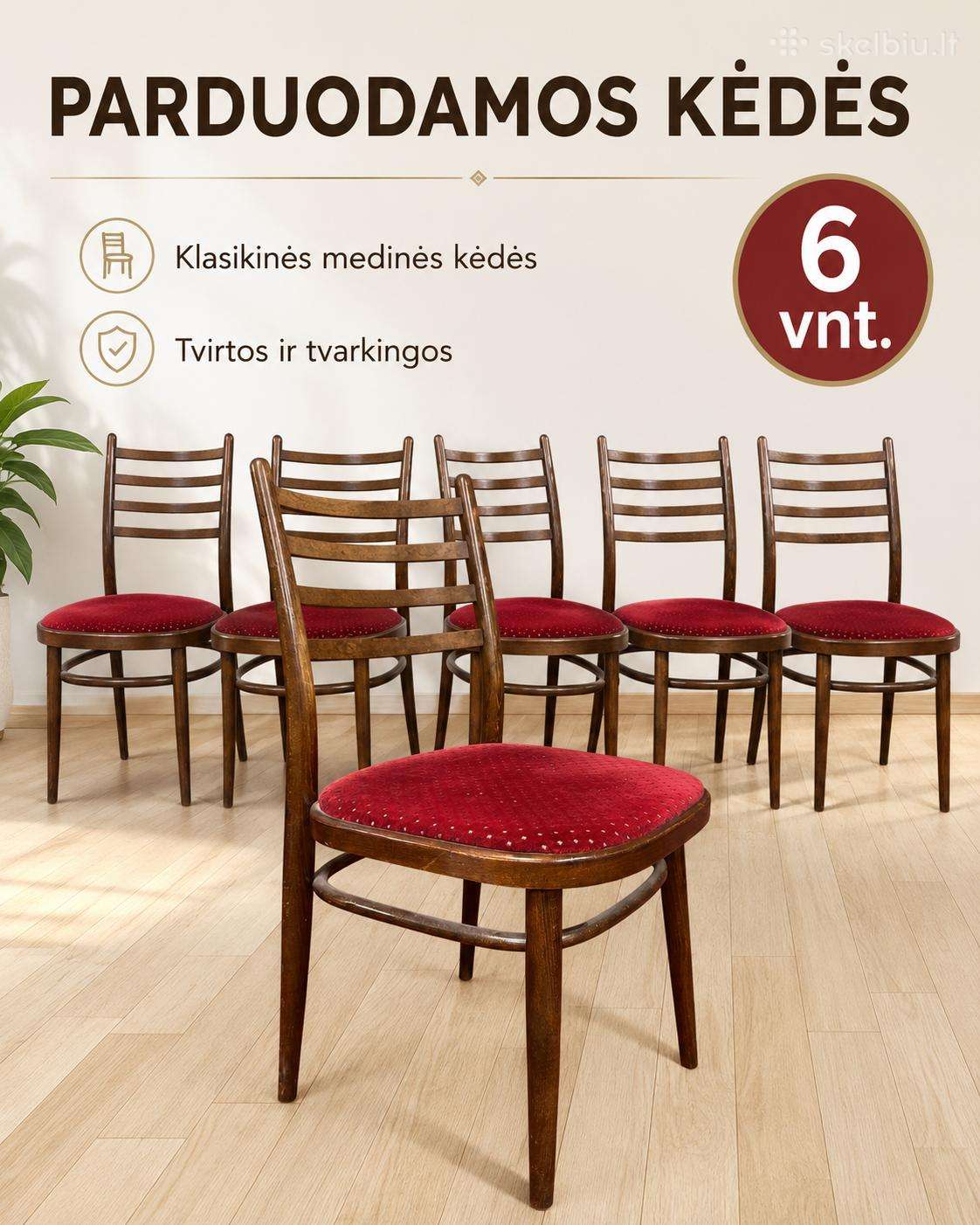 6 vnt čekiškų klasikinių kedžių.