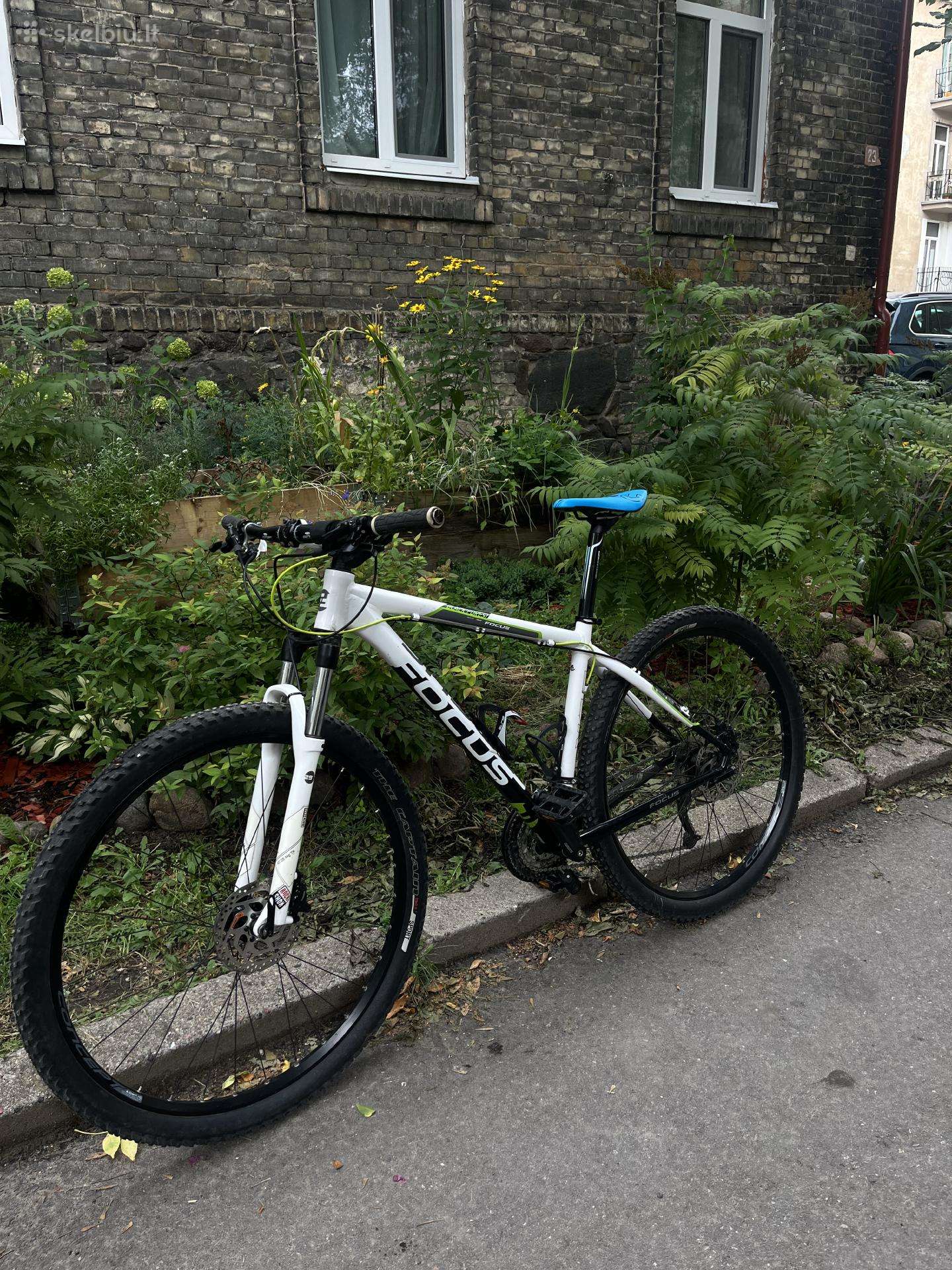 MTB dviratis Black Forest Focus