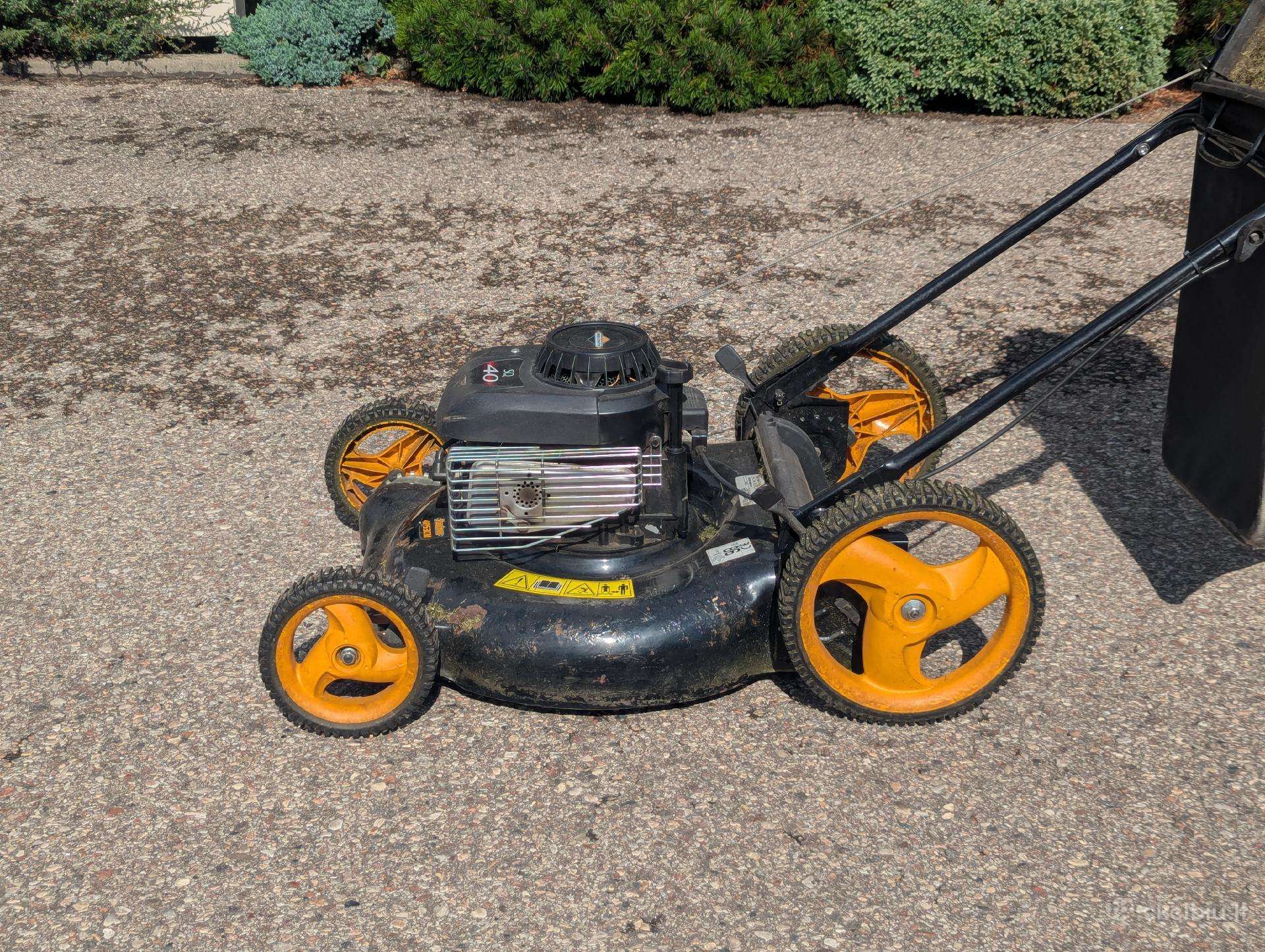 Benzininė Žoliapjovė Electrolux