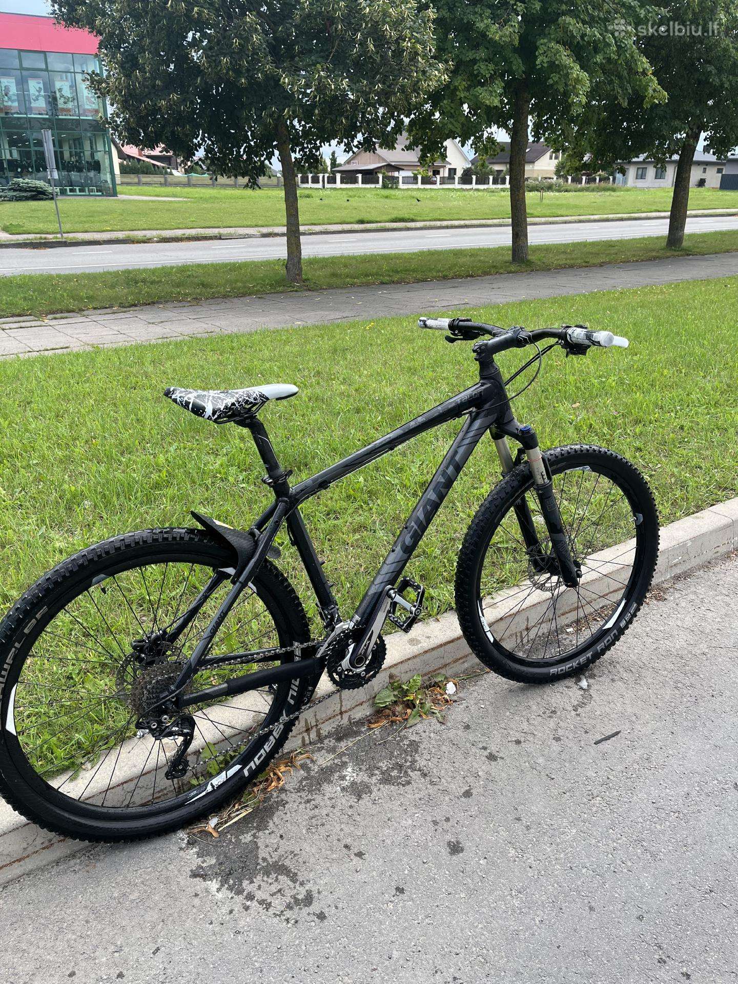 Giant MTB dviratis
