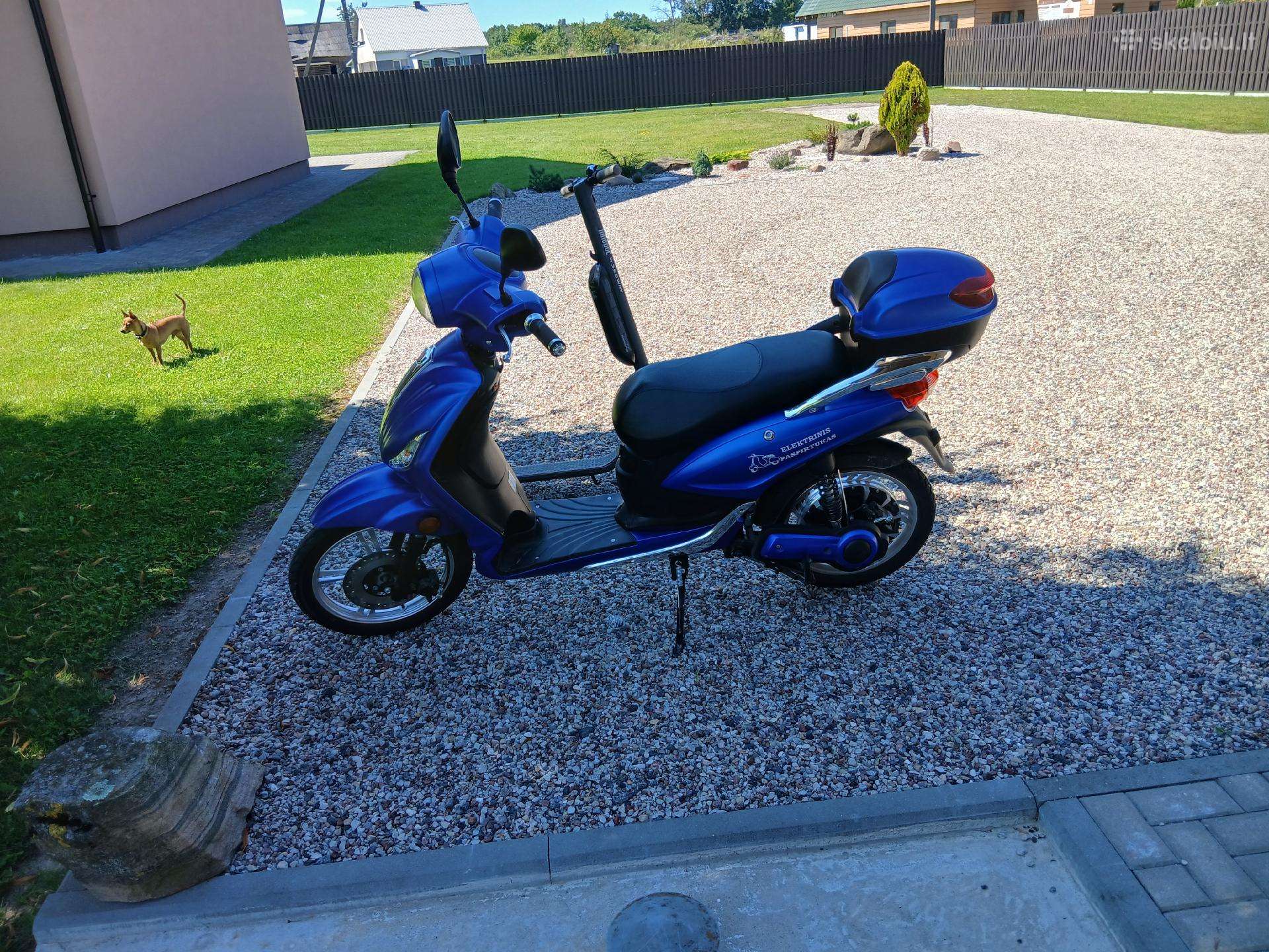 For adults scooter Ailo