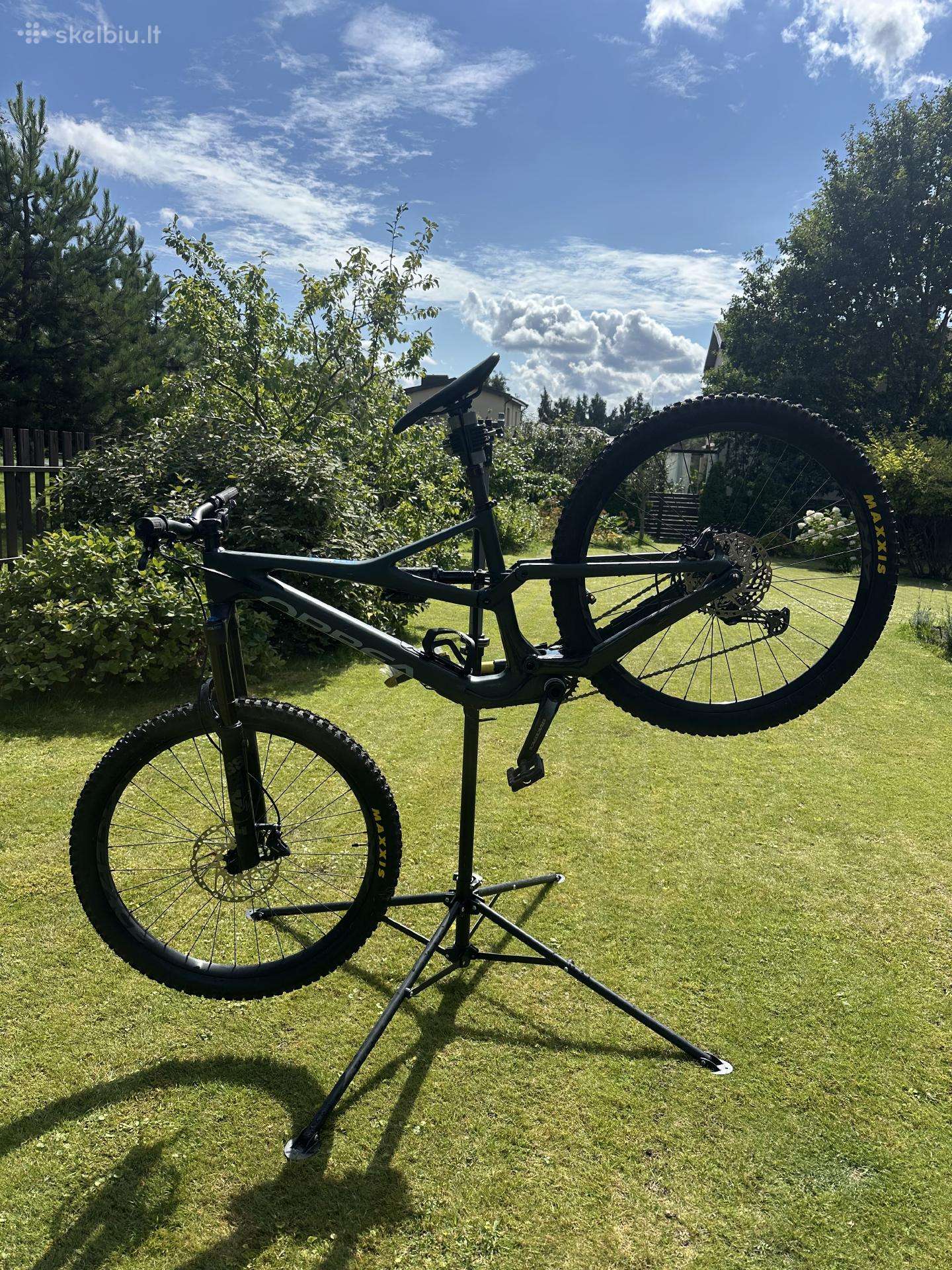 Orbea Rallon M10 Forest Green Carbon