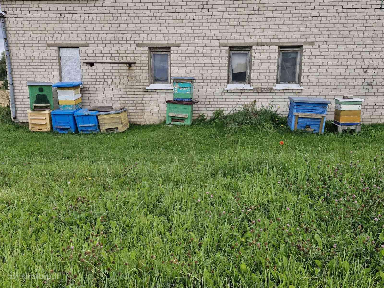 Maitintuvės, aviliai