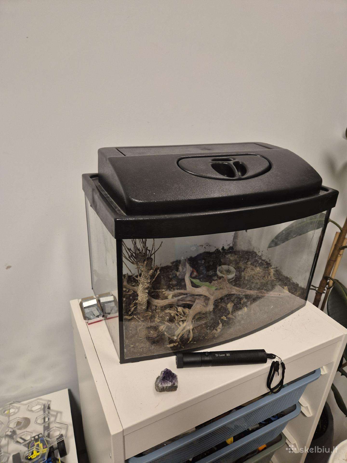 Akvariumas
