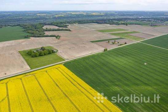 Ieškau išsinuomoti žemės ūkio paskirties sklypų!