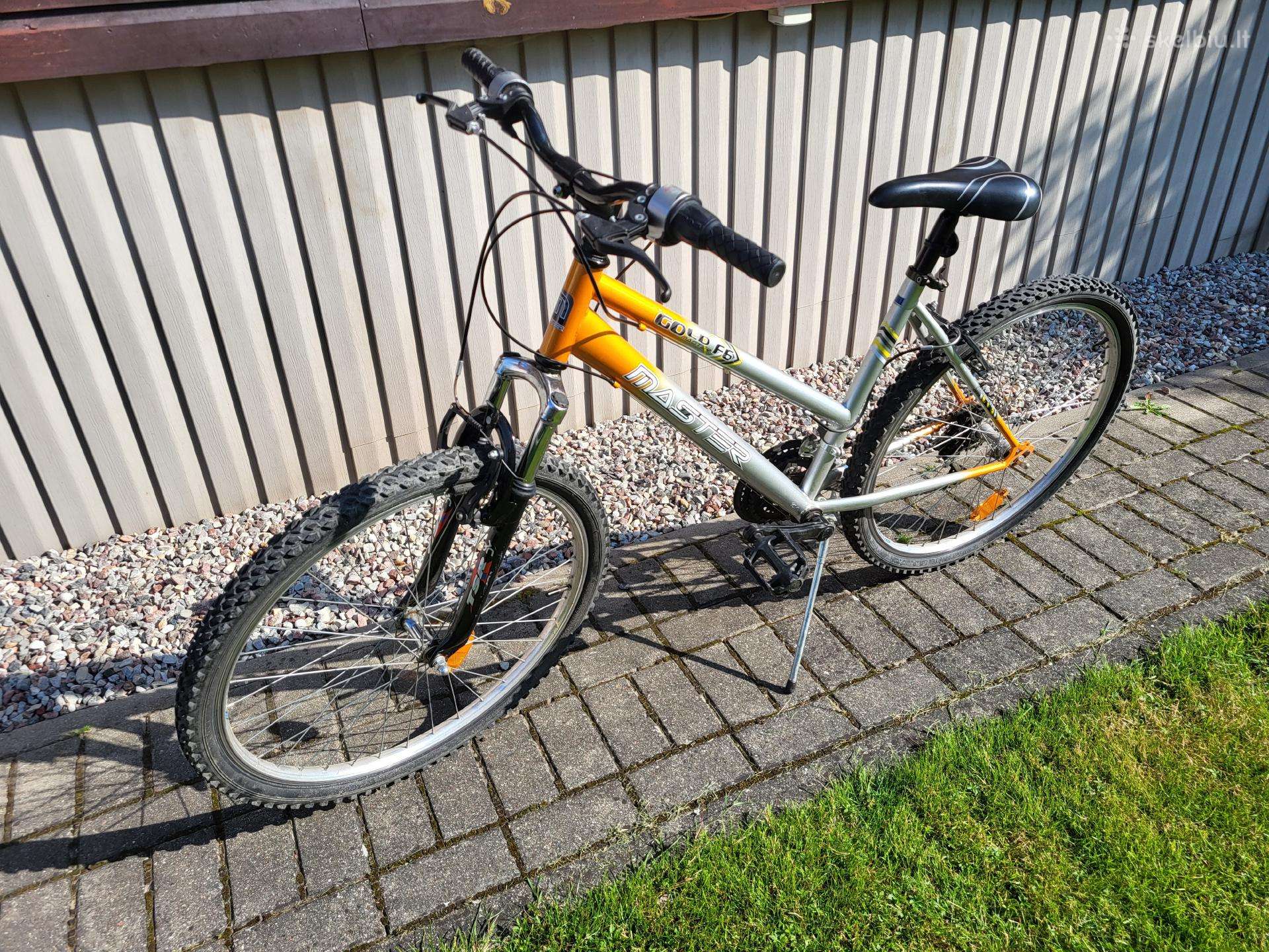 Gold Master F6 dviratis, 26" ratai