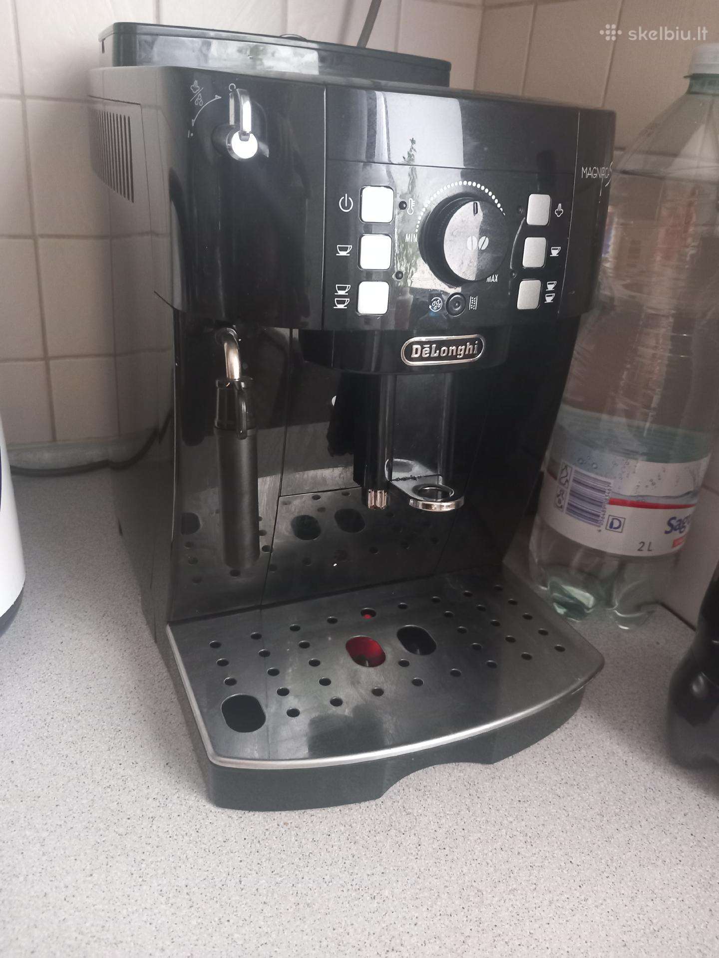 Delinghi magnifica s