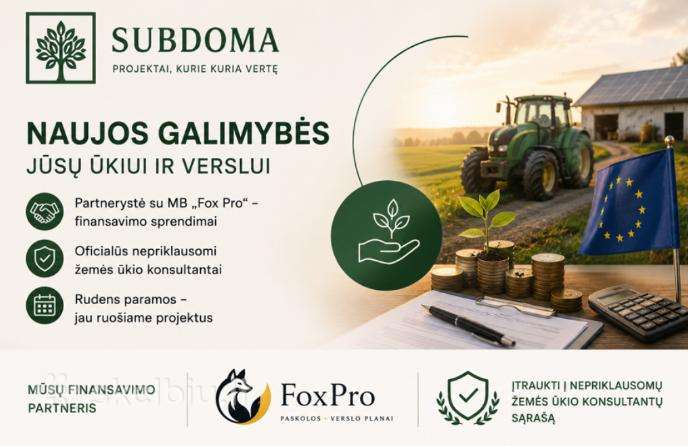 Es Projektaipaskolosverslo planai