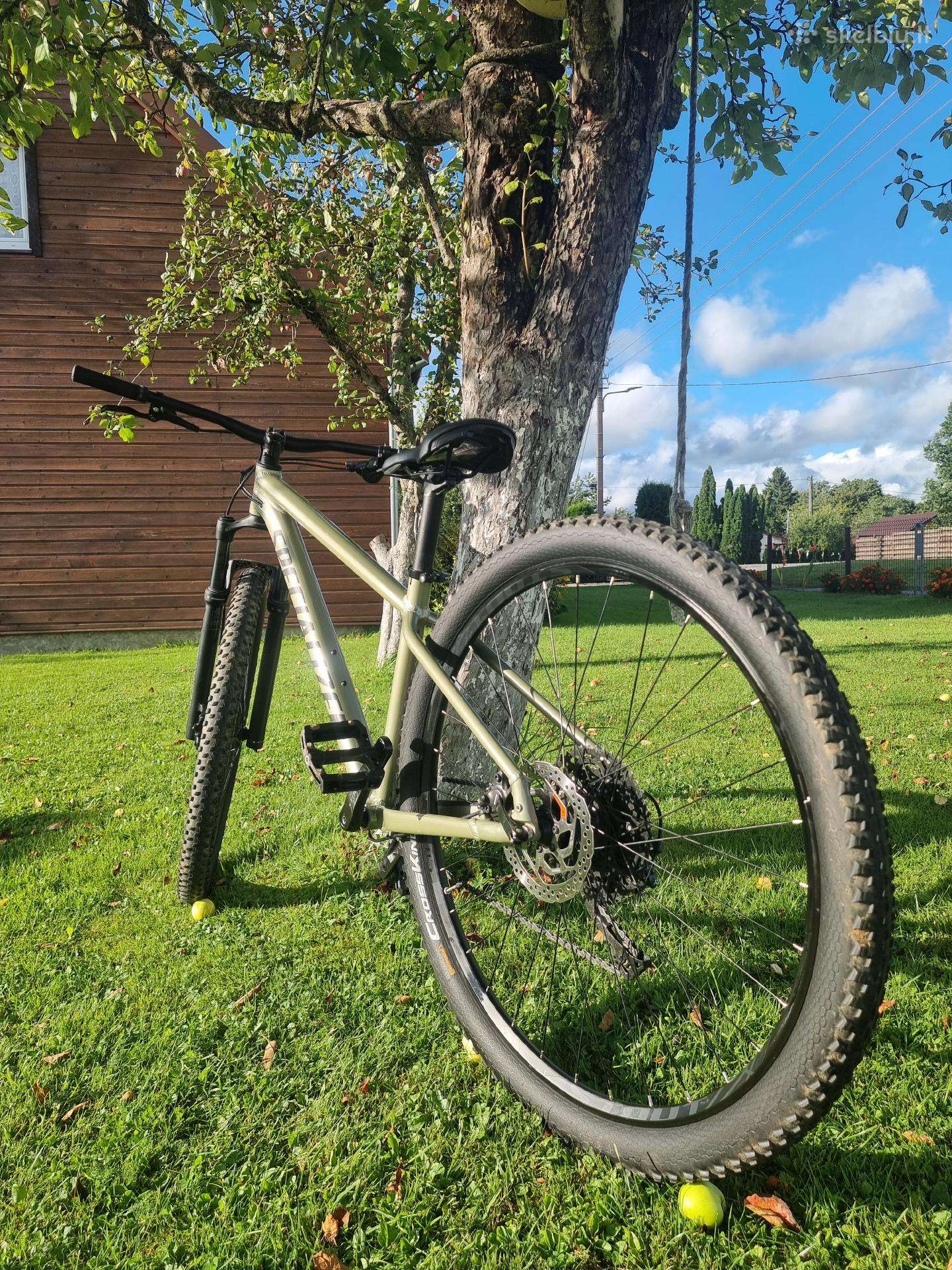 Mountain bike Specialized 29″