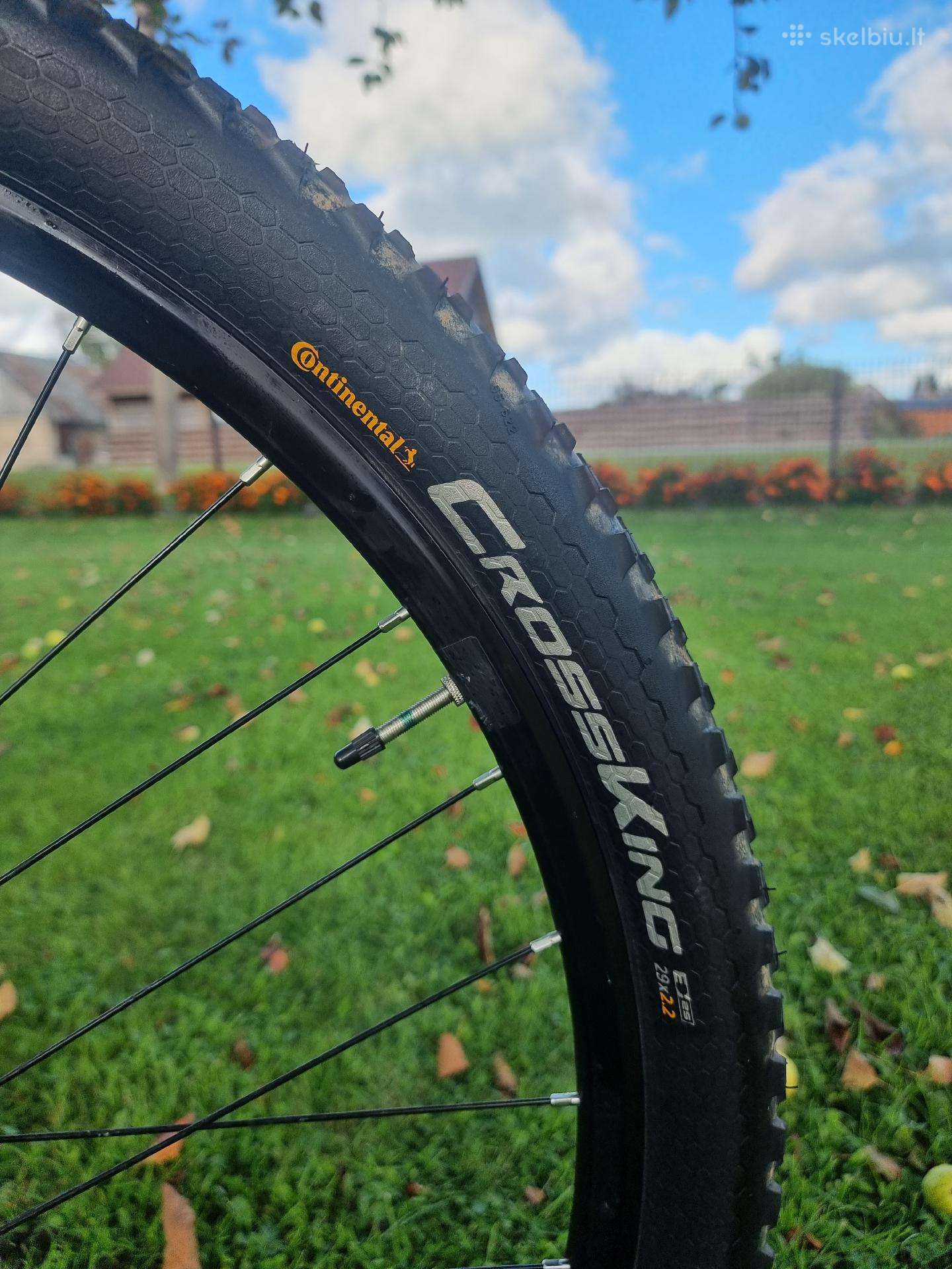 Mountain bike Specialized 29″