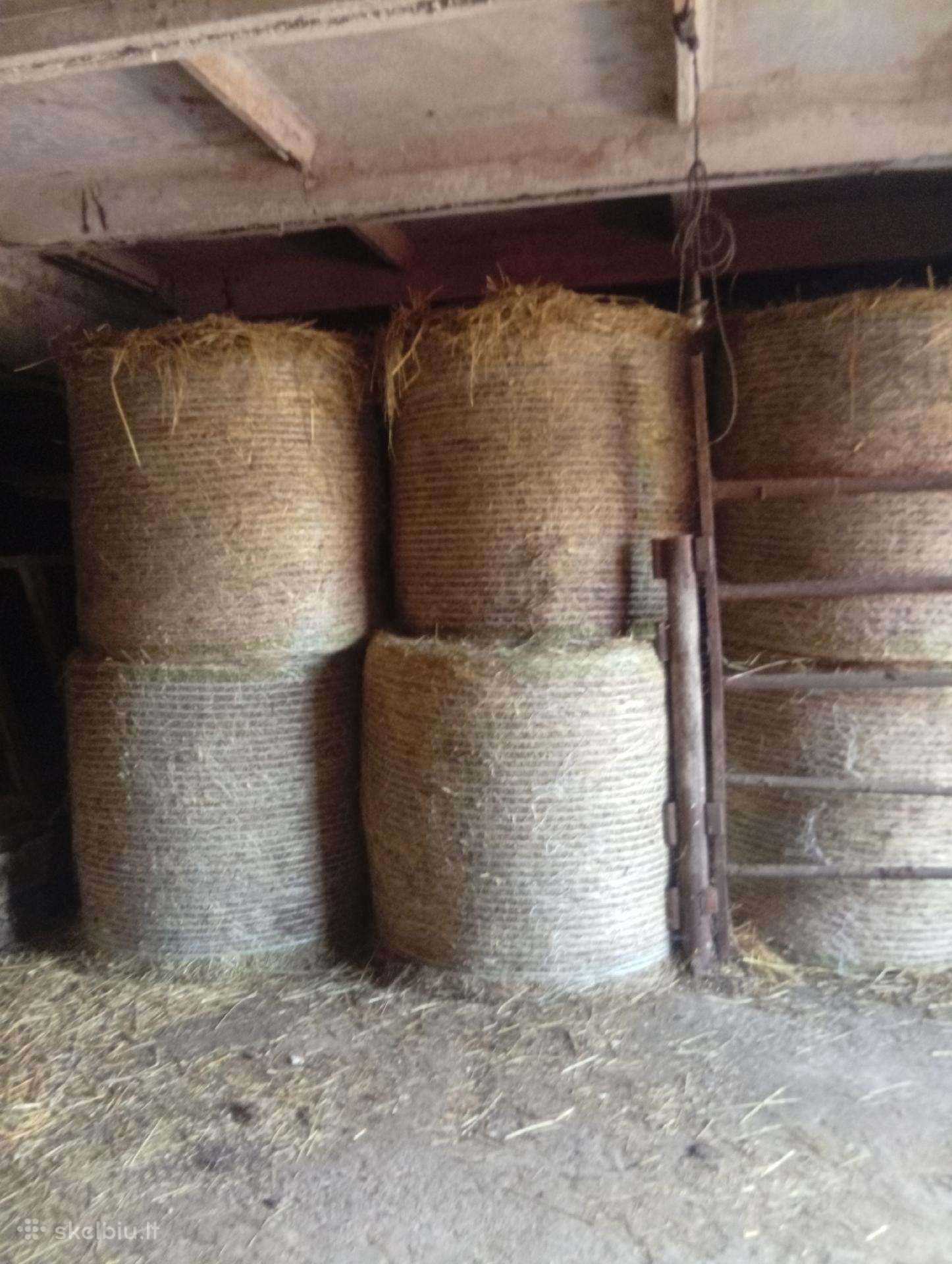 Šienas