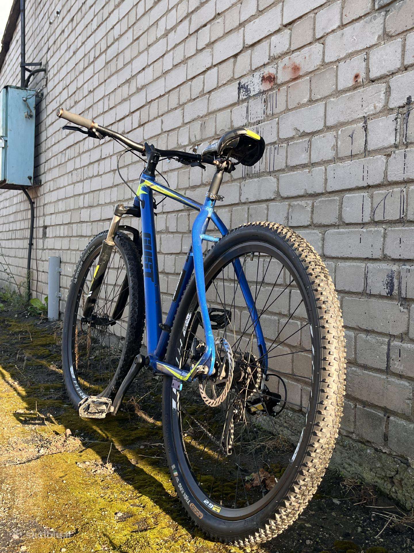 Mountain bike Gust 29″