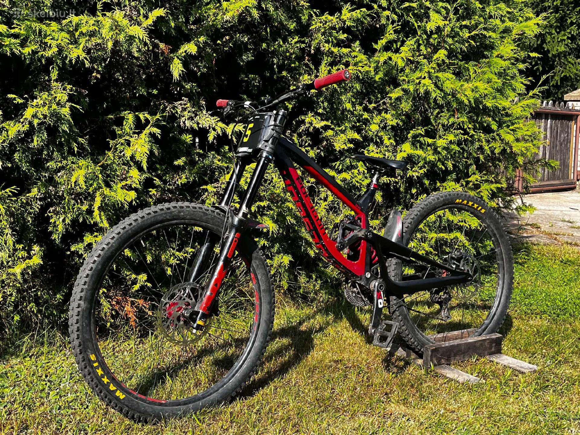 Polygon collosus Dh9 Team 2019m
