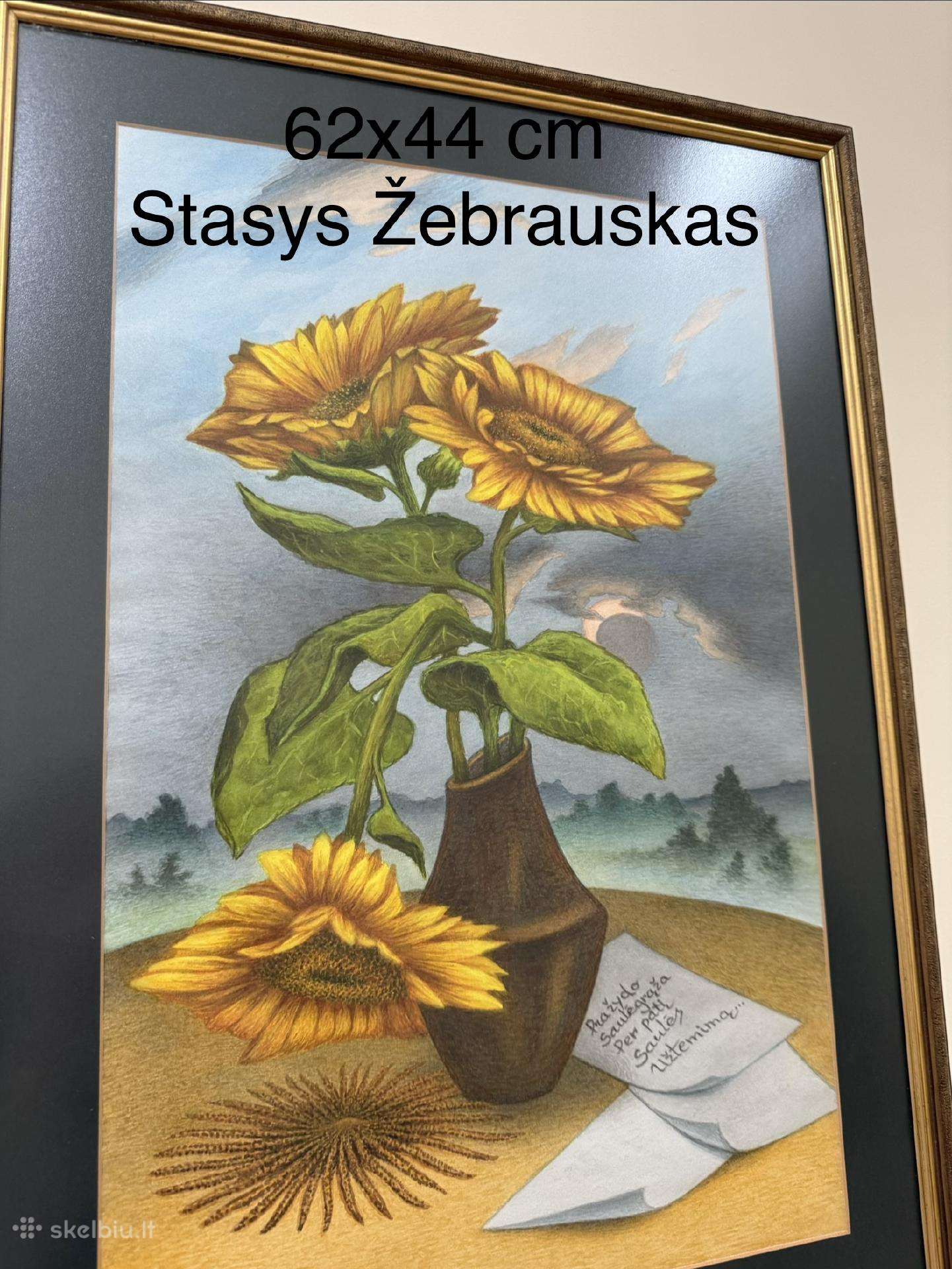 Stasys žebrauskas Saulegrazos