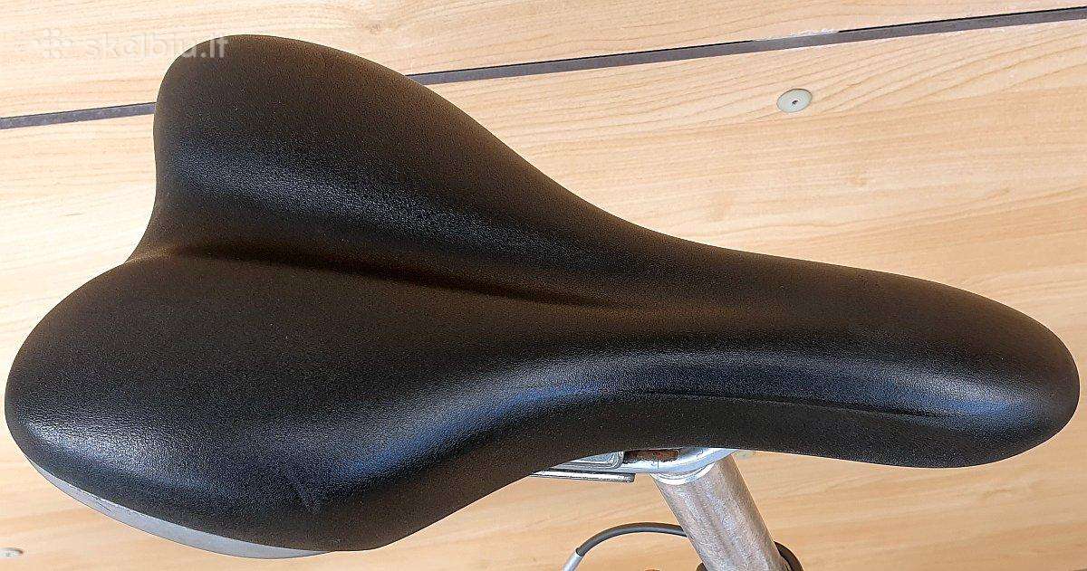Paprastas Selle Royal balnelis