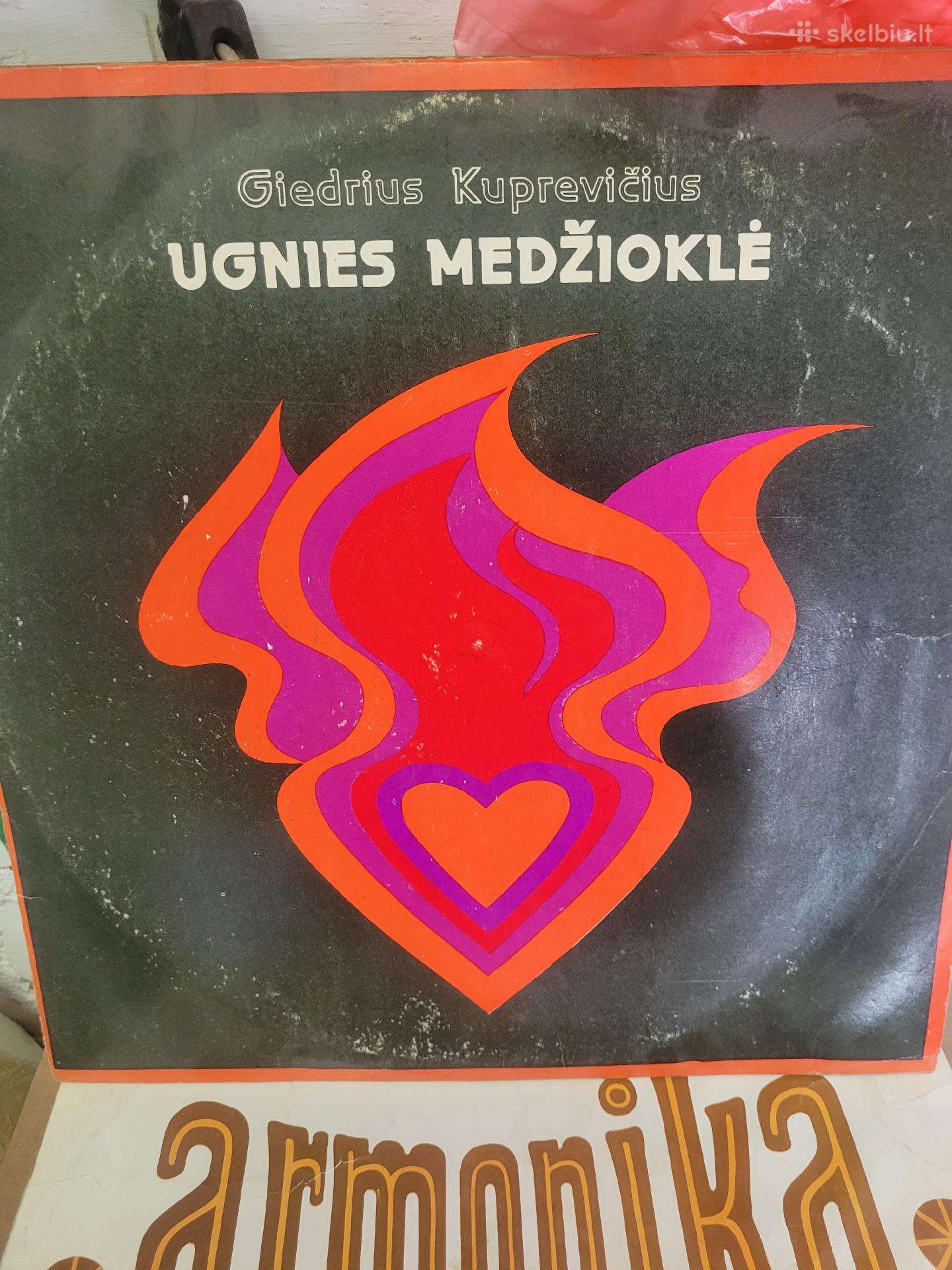Vinilines ploksteles