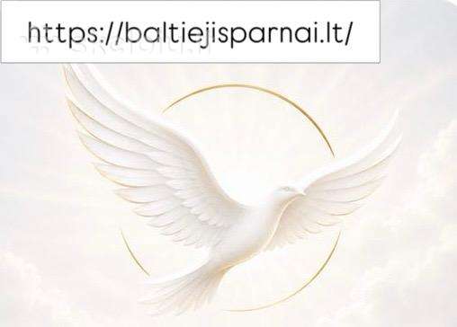 Kapavietės priežiūra