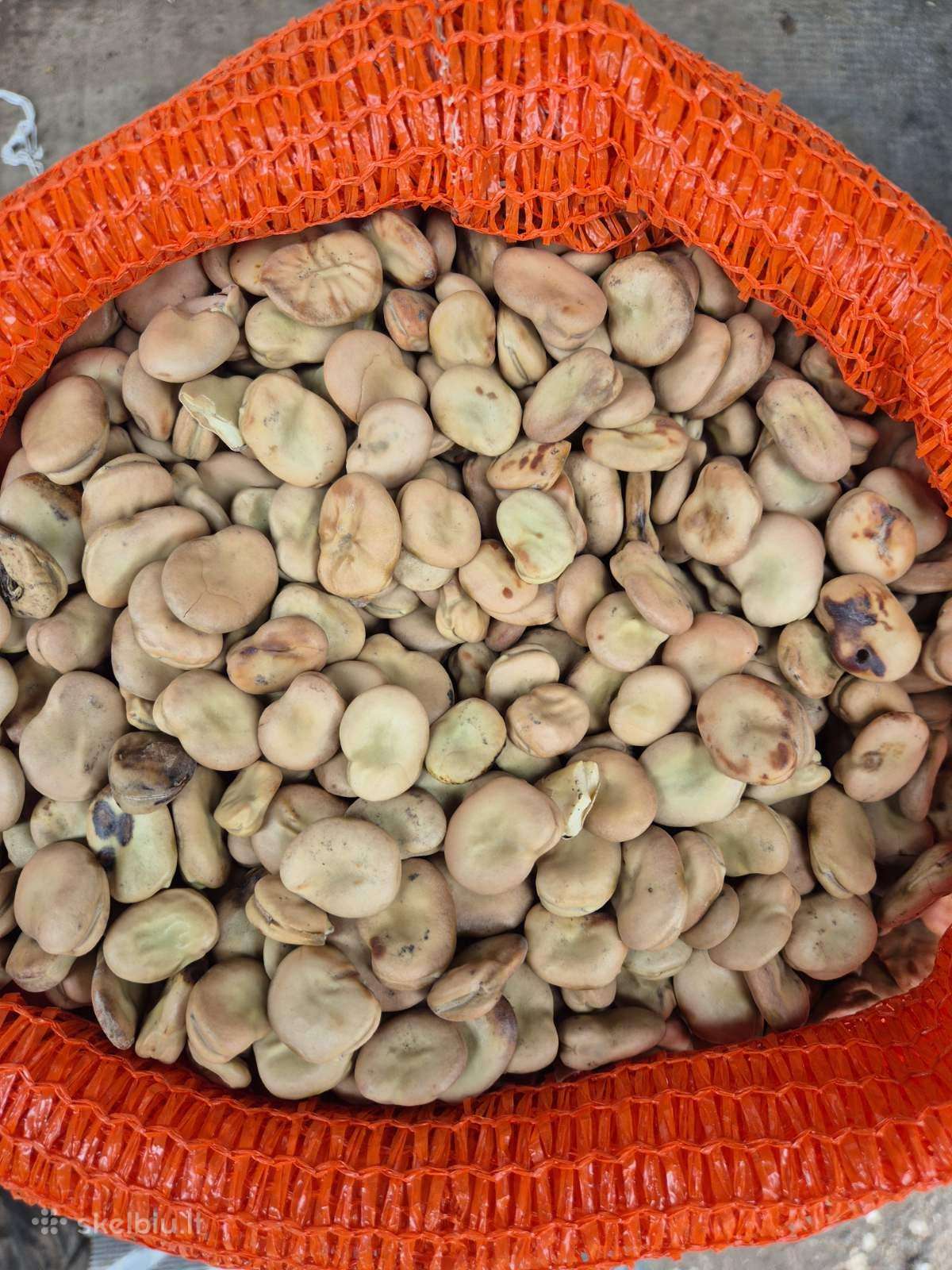 Didziosios pupos, 10kg 40e