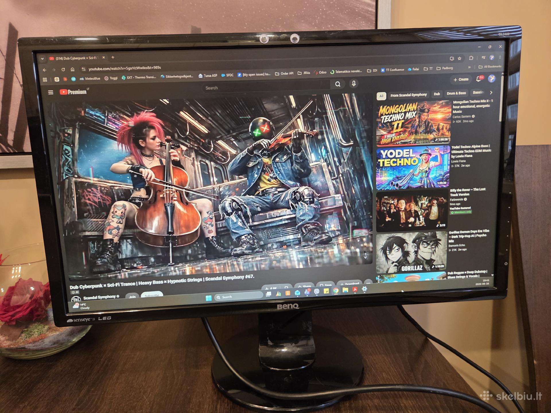 Monitorius Benq 2460-b