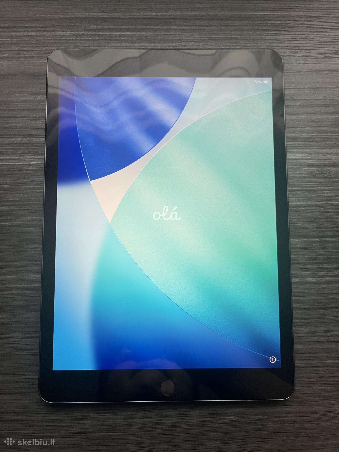 iPad (9th generation)